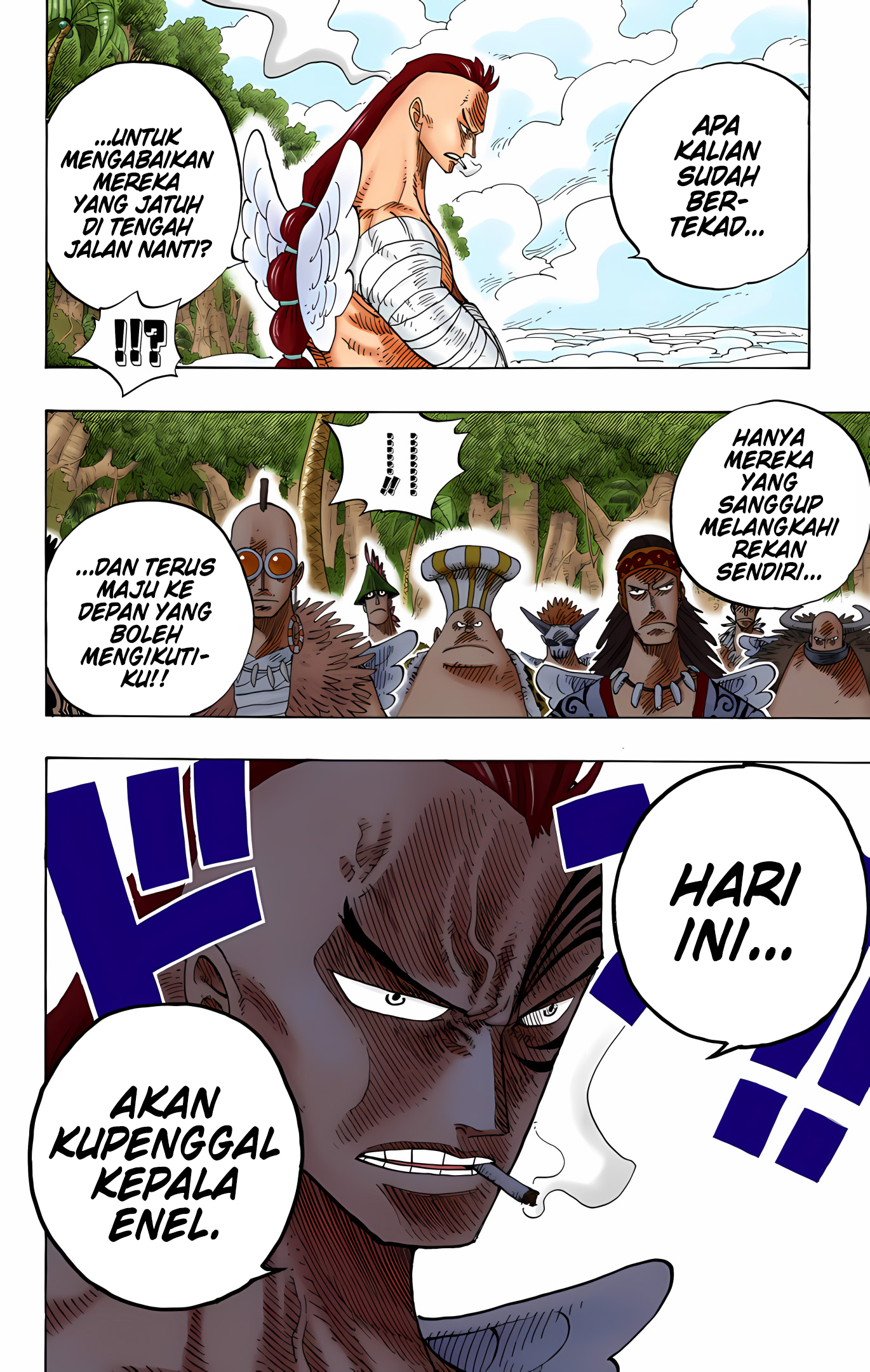 One Piece (Official Colored) Chapter 256 - halaman 12