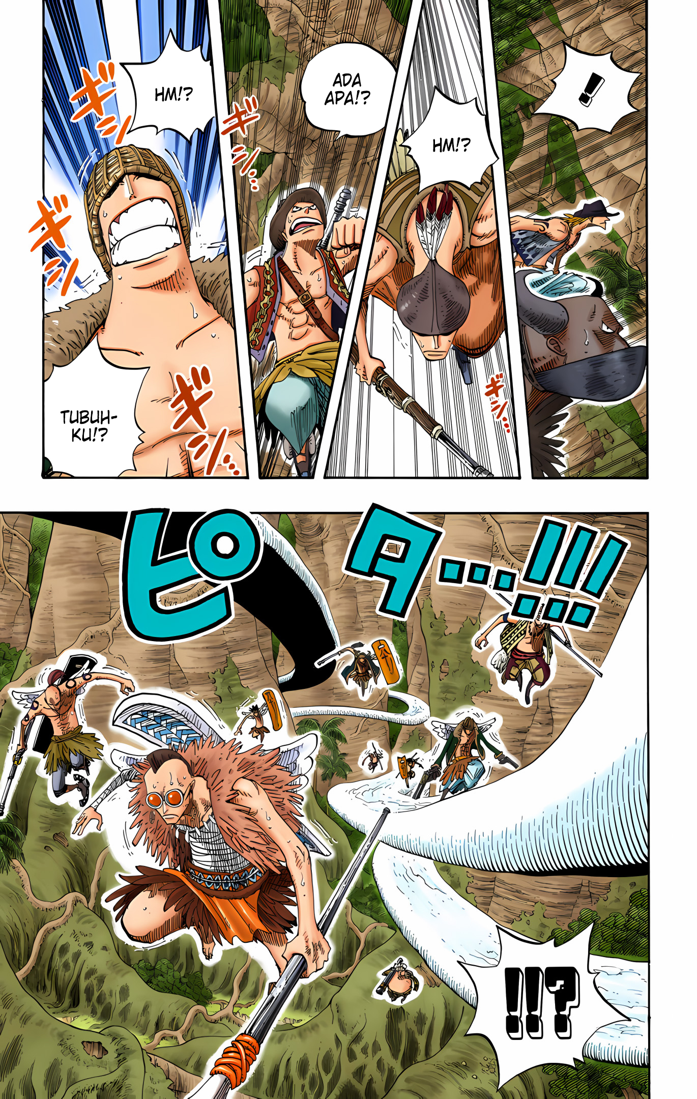 One Piece (Official Colored) Chapter 256 - halaman 17