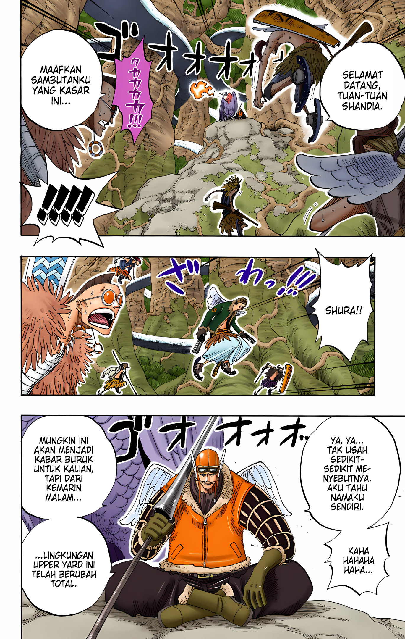 One Piece (Official Colored) Chapter 256 - halaman 18