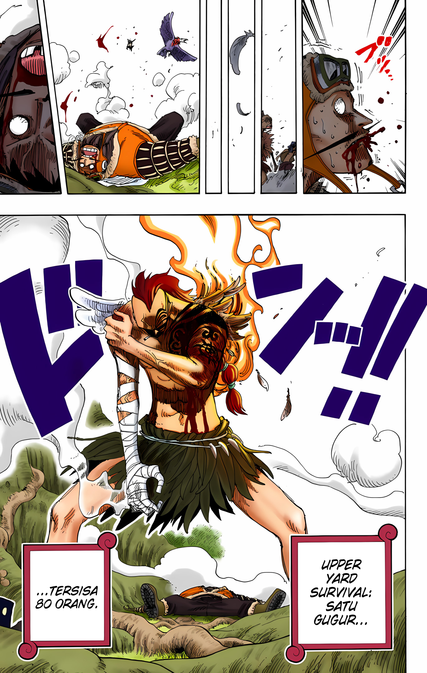 One Piece (Official Colored) Chapter 256 - halaman 23