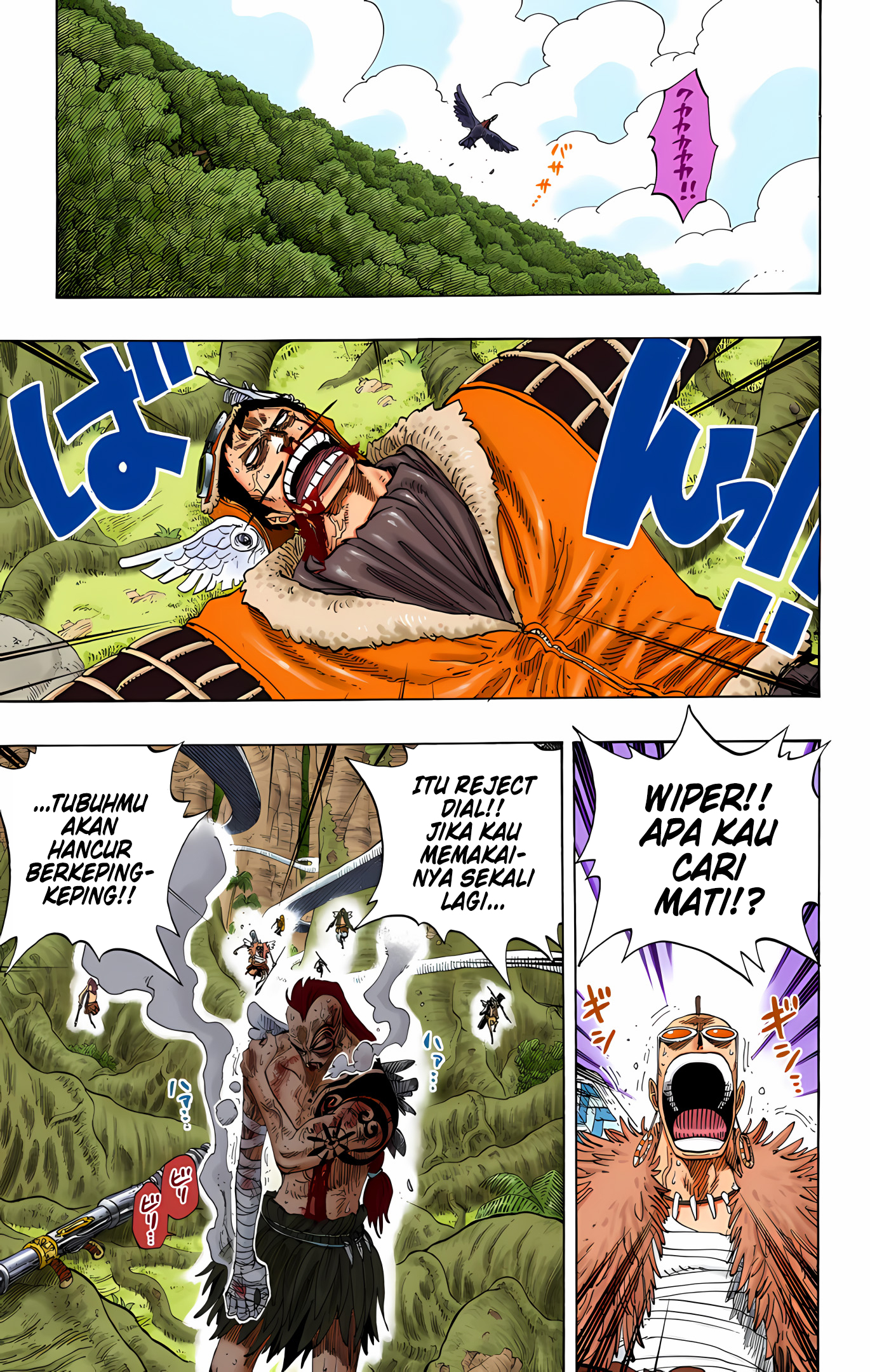 One Piece (Official Colored) Chapter 257 - halaman 11