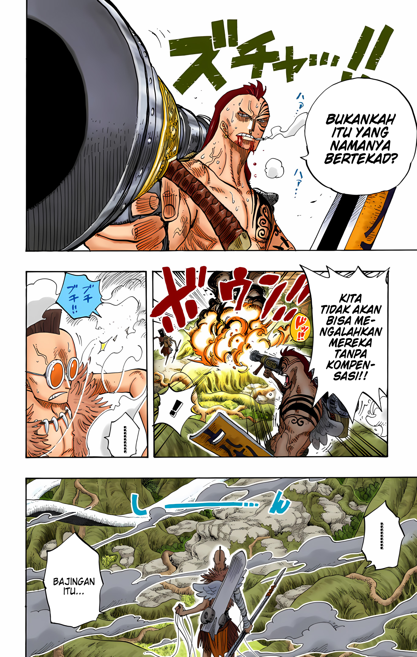 One Piece (Official Colored) Chapter 257 - halaman 12
