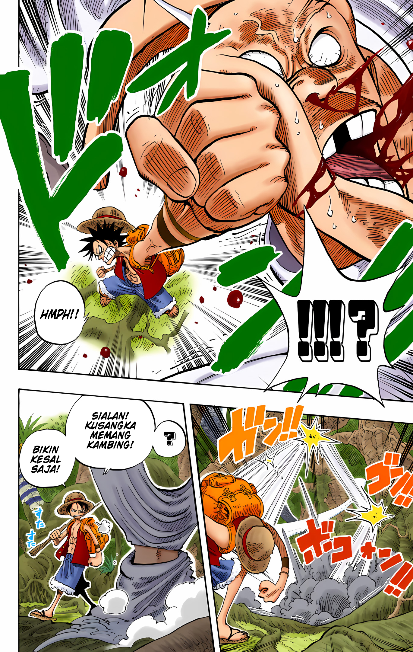 One Piece (Official Colored) Chapter 257 - halaman 18