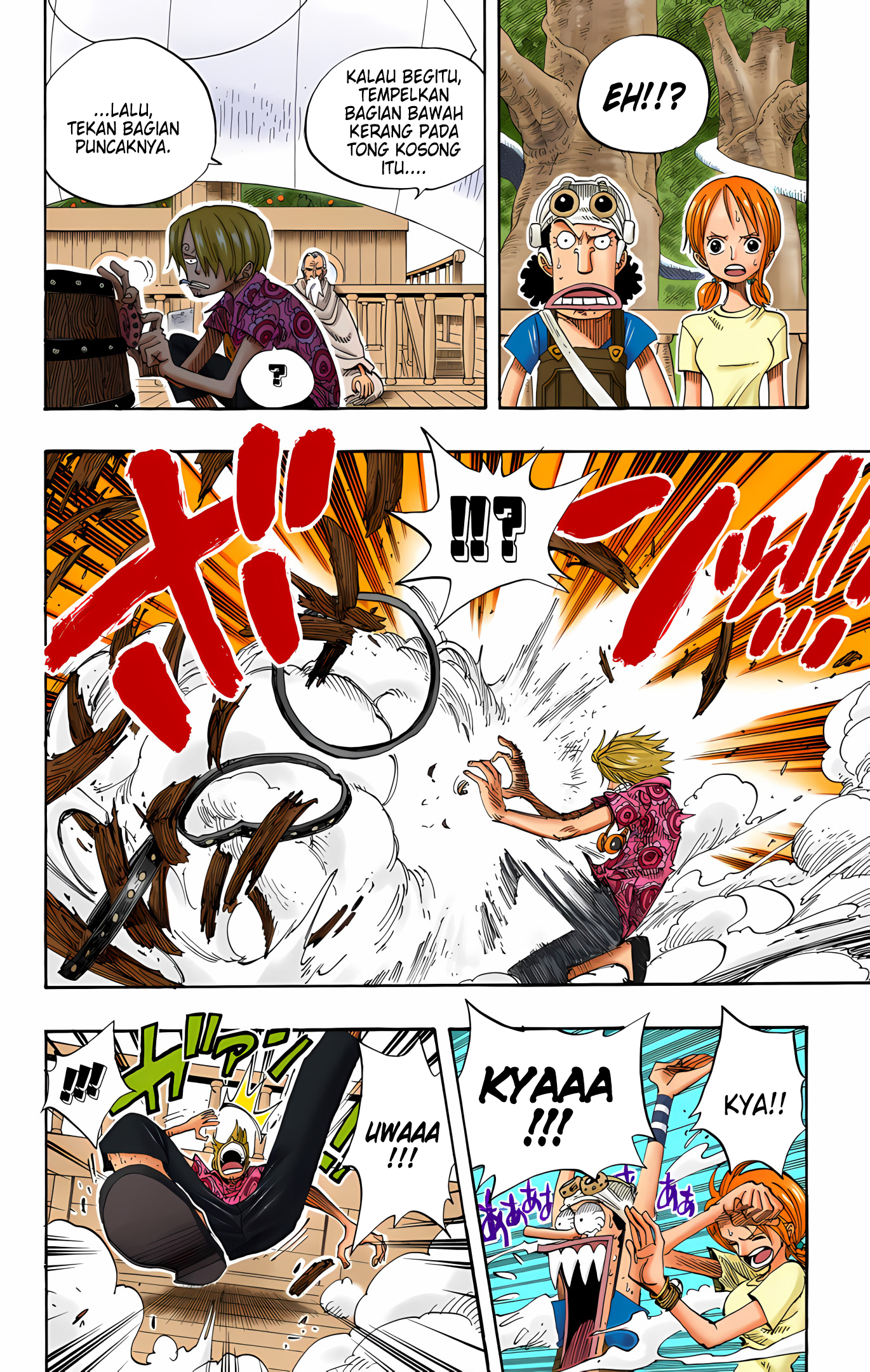 One Piece (Official Colored) Chapter 257 - halaman 4