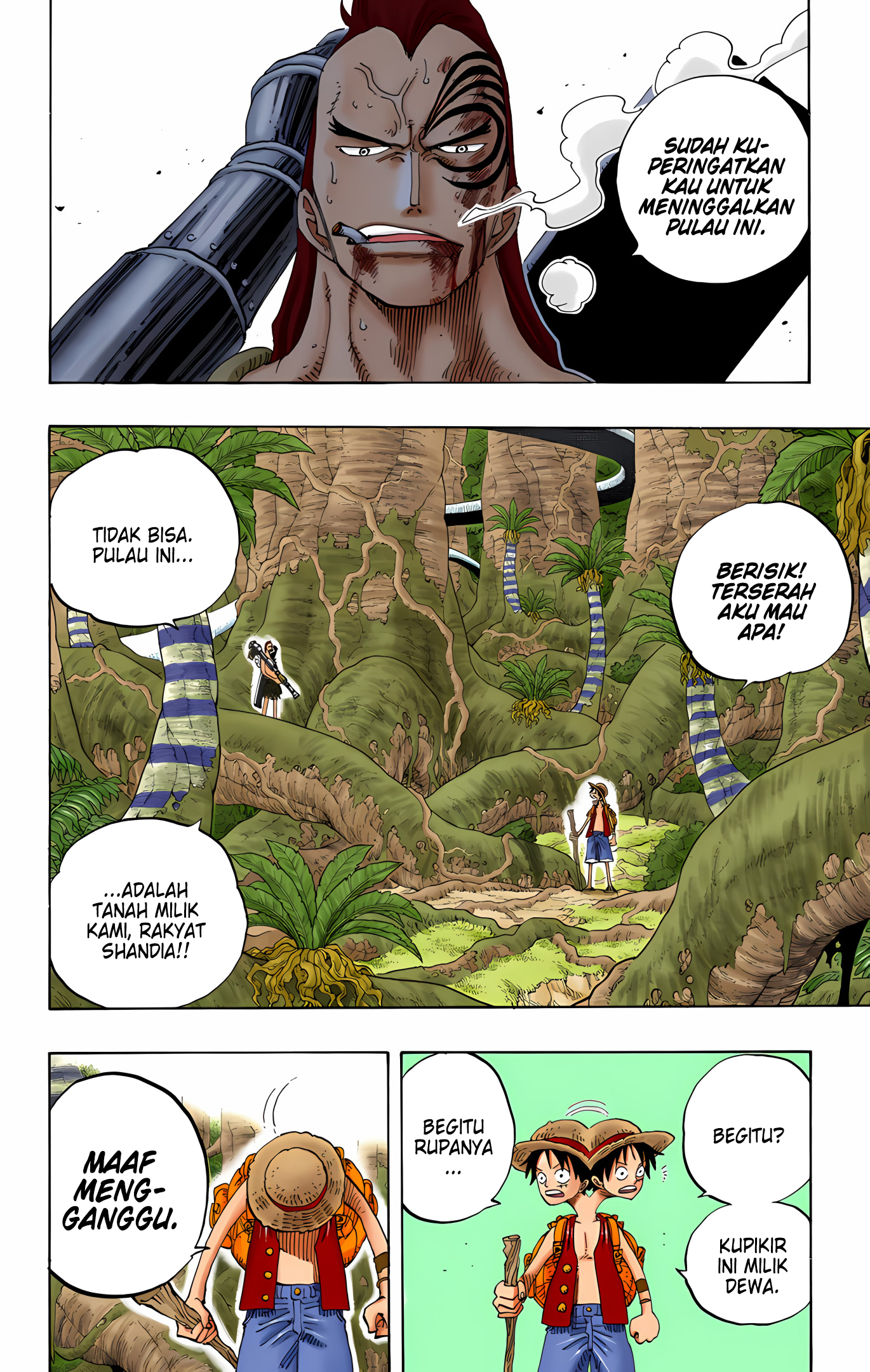 One Piece (Official Colored) Chapter 258 - halaman 10