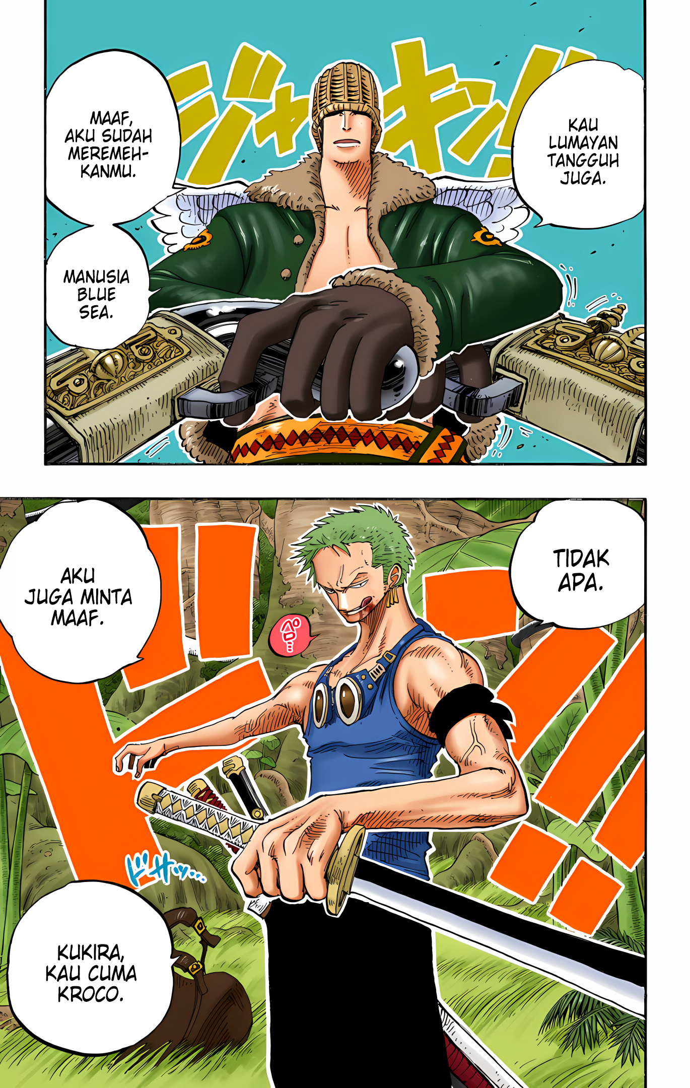 One Piece (Official Colored) Chapter 258 - halaman 19