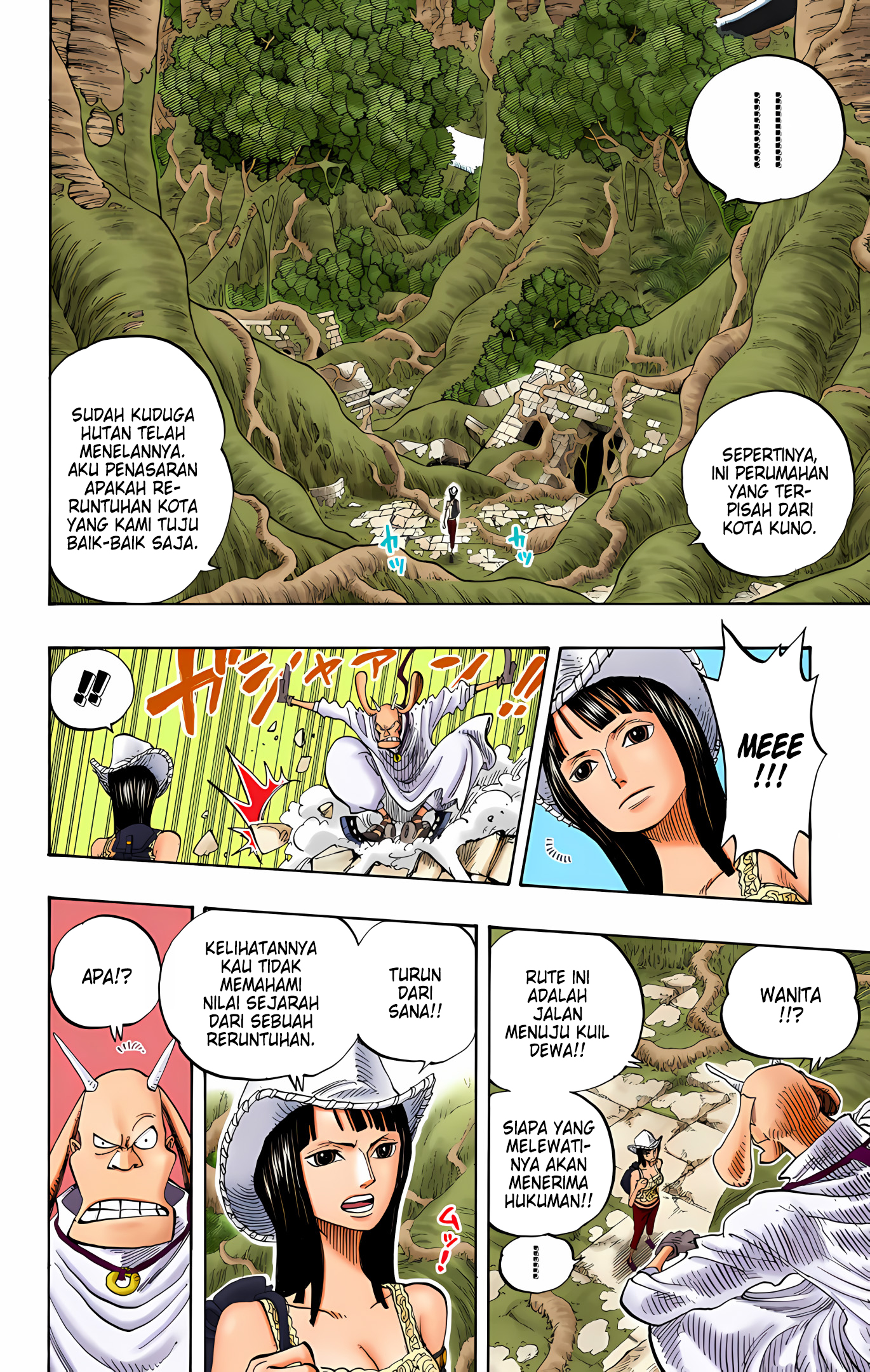 One Piece (Official Colored) Chapter 258 - halaman 8
