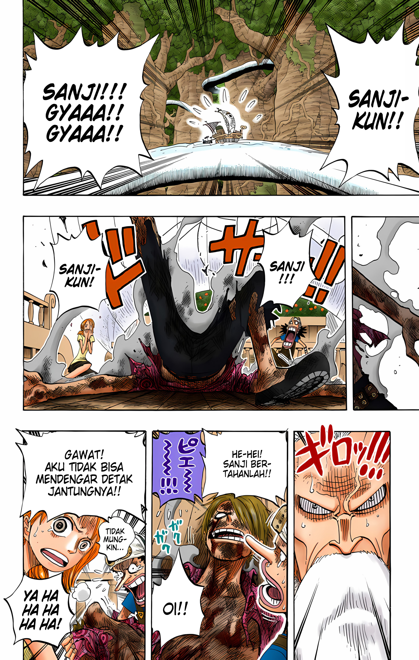 One Piece (Official Colored) Chapter 259 - halaman 17