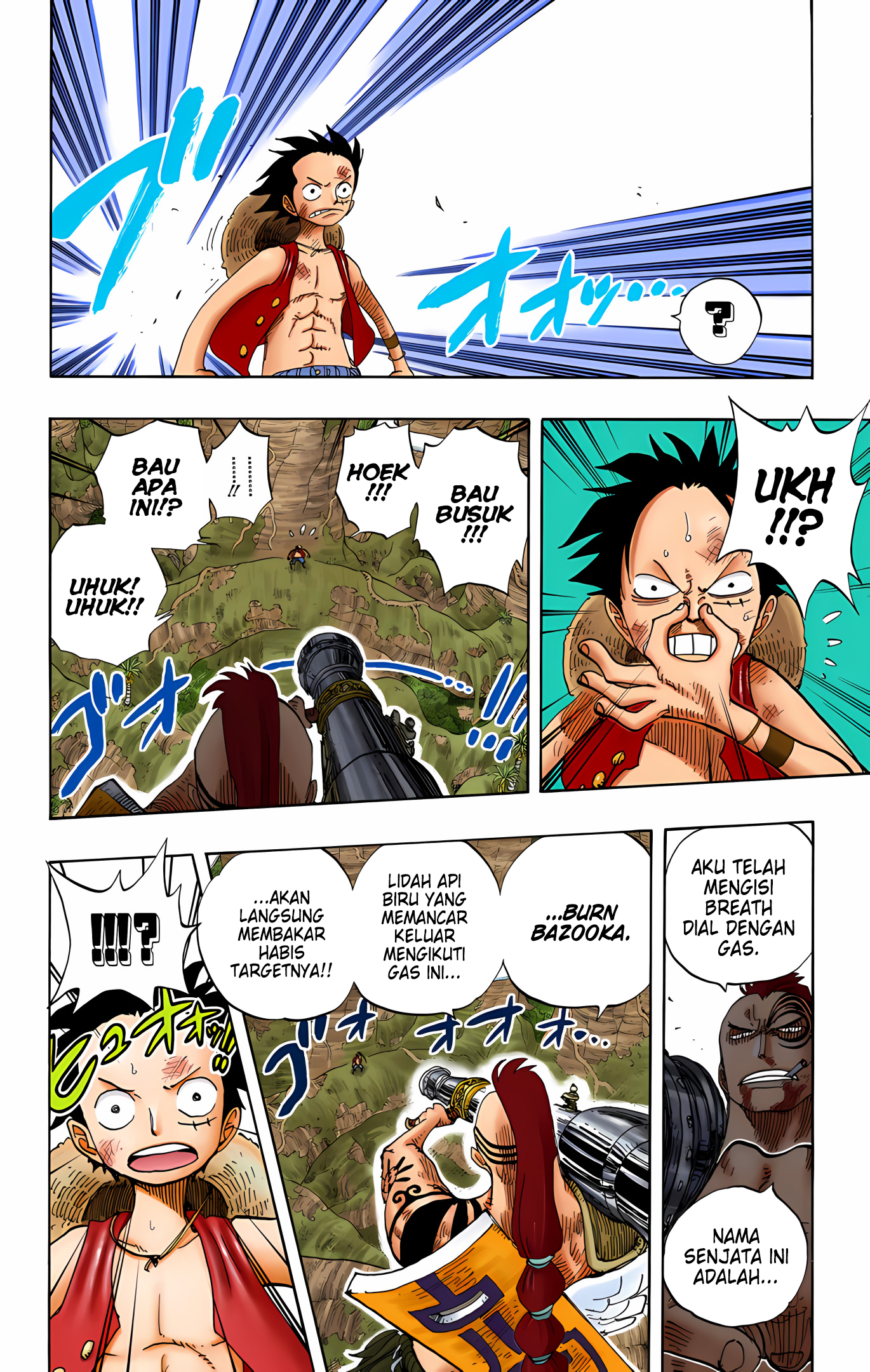 One Piece (Official Colored) Chapter 260 - halaman 10