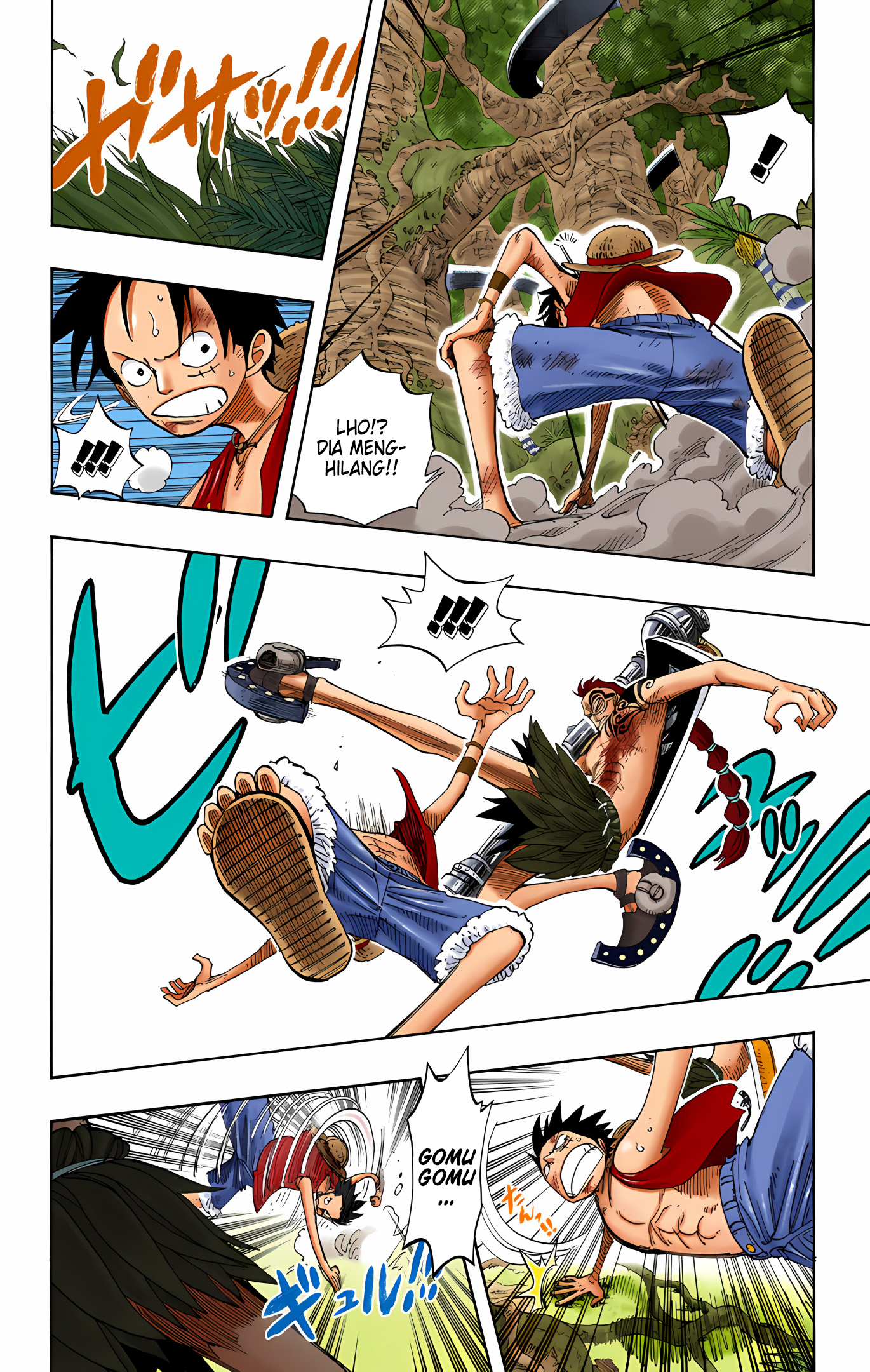 One Piece (Official Colored) Chapter 260 - halaman 12