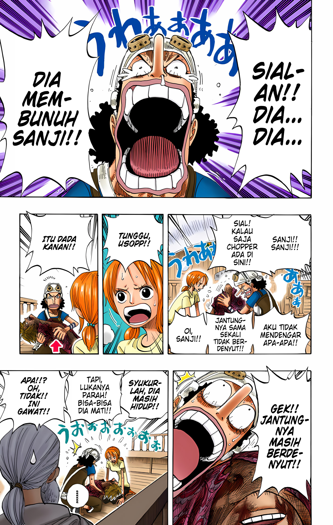 One Piece (Official Colored) Chapter 260 - halaman 3