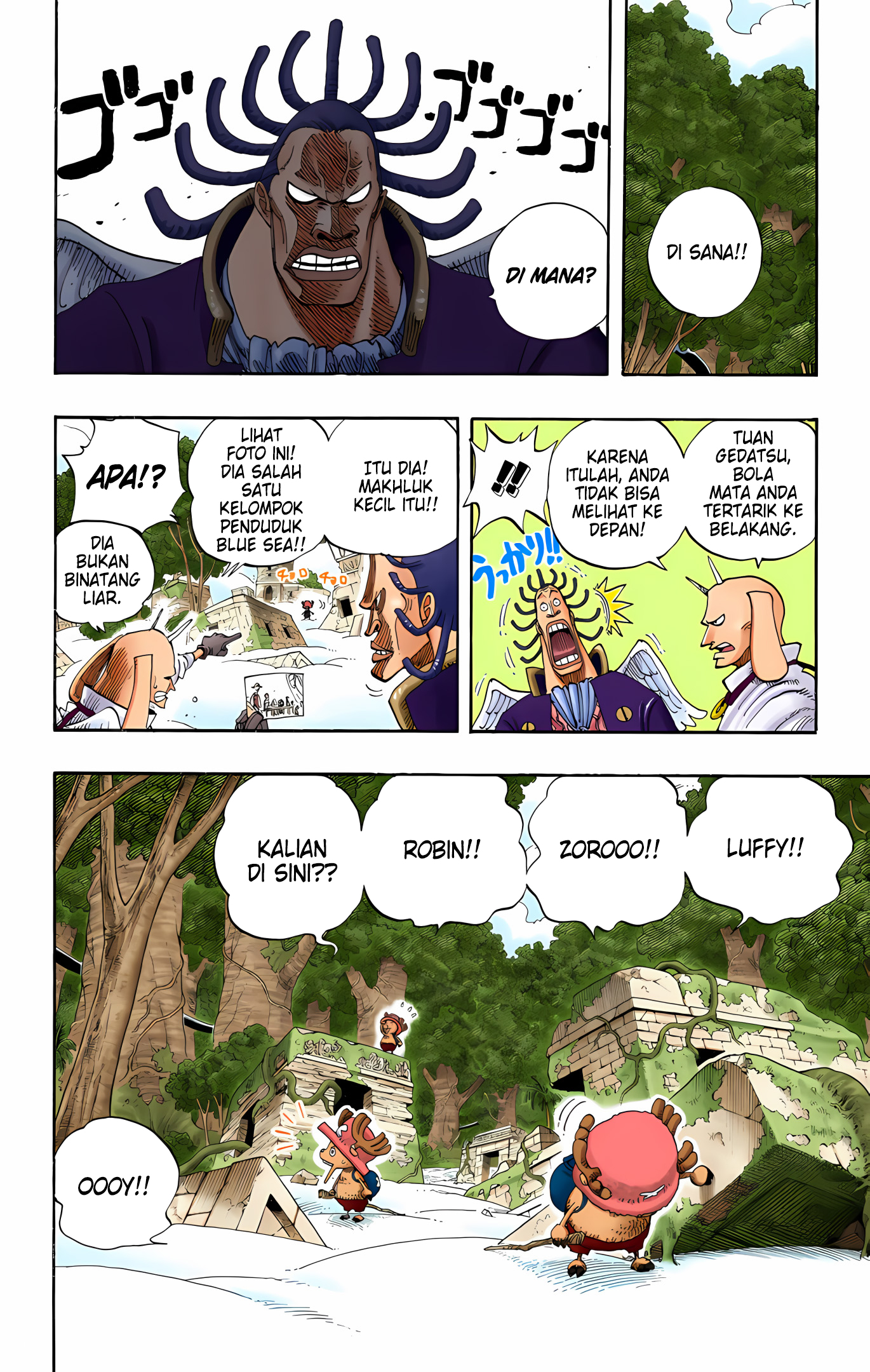 One Piece (Official Colored) Chapter 261 - halaman 18