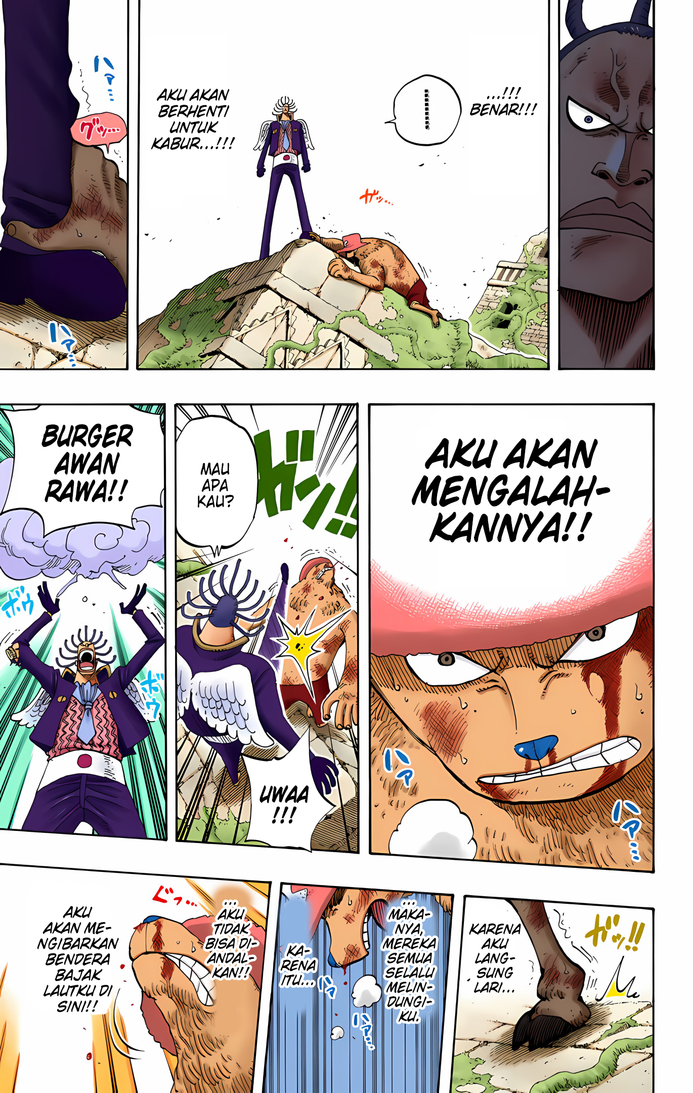 One Piece (Official Colored) Chapter 262 - halaman 15