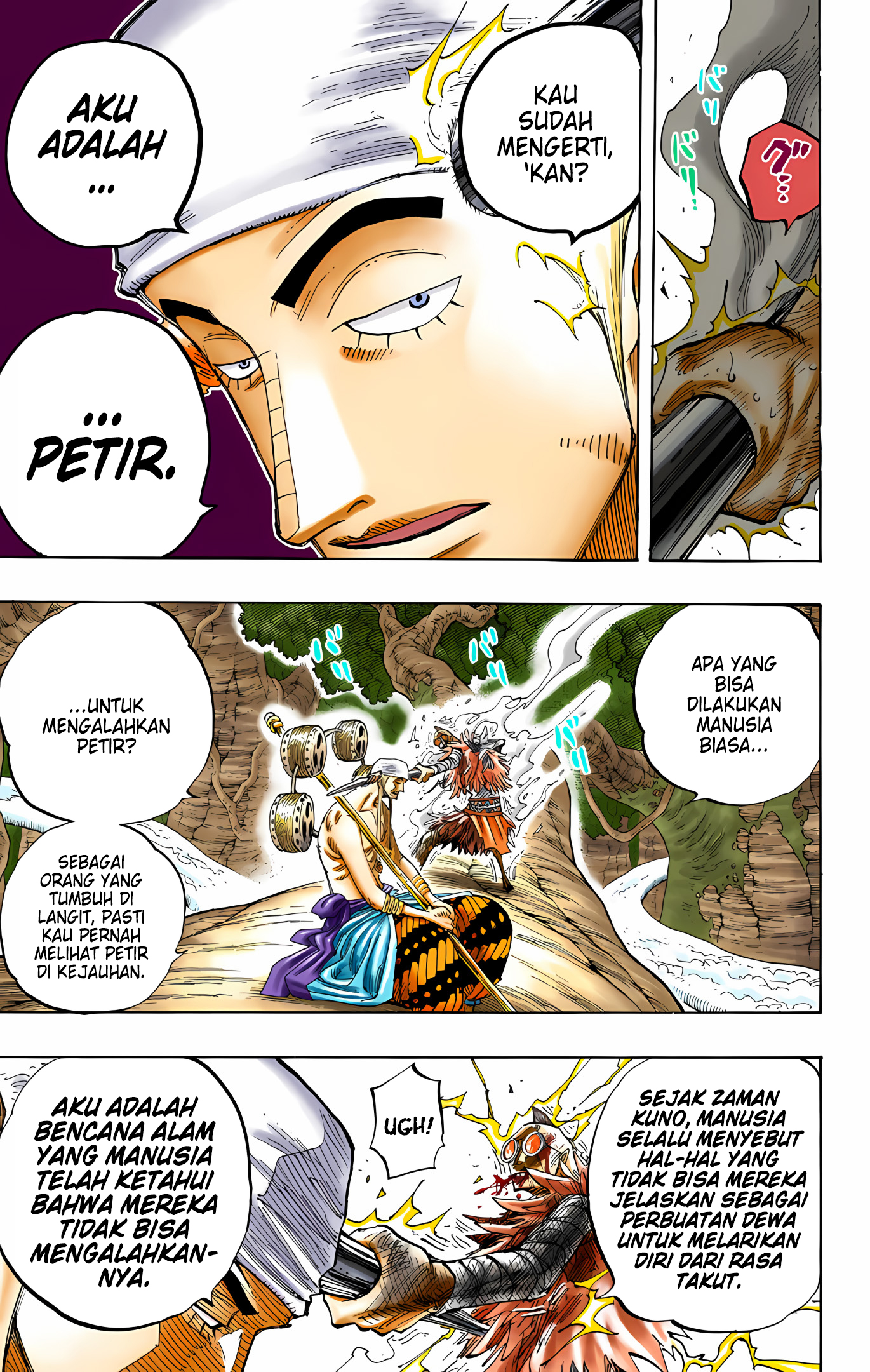 One Piece (Official Colored) Chapter 264 - halaman 13