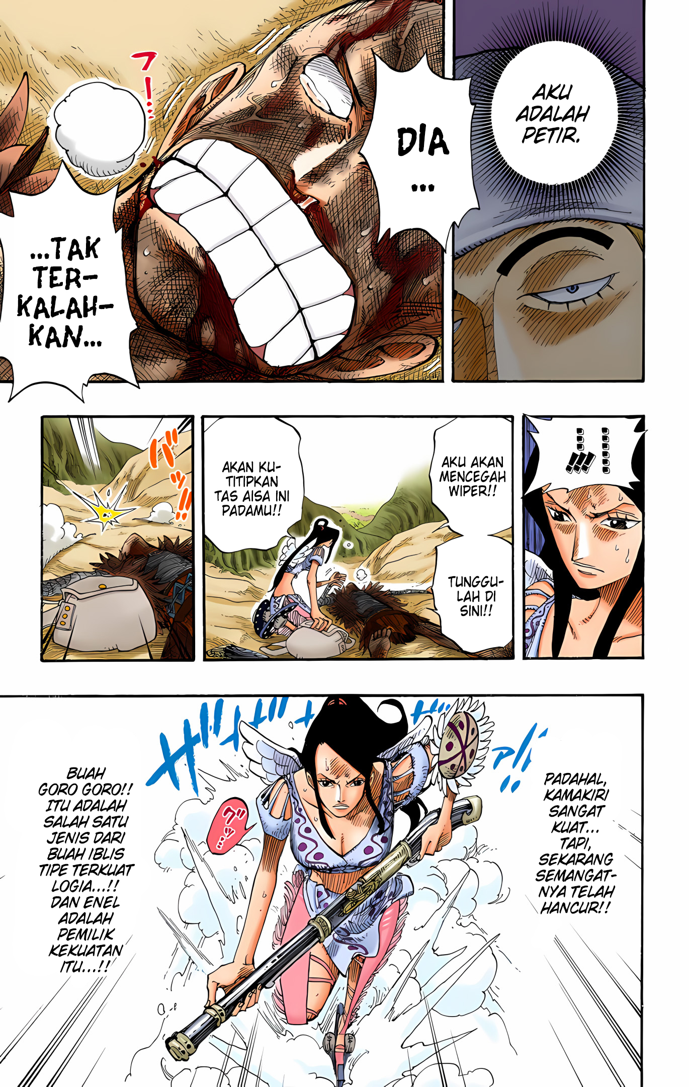 One Piece (Official Colored) Chapter 266 - halaman 13