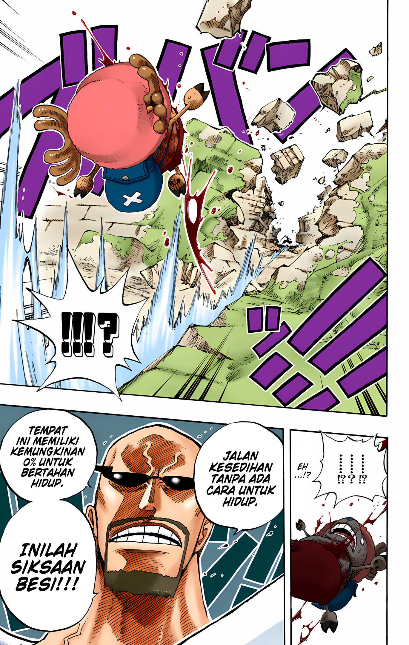 One Piece (Official Colored) Chapter 266 - halaman 19