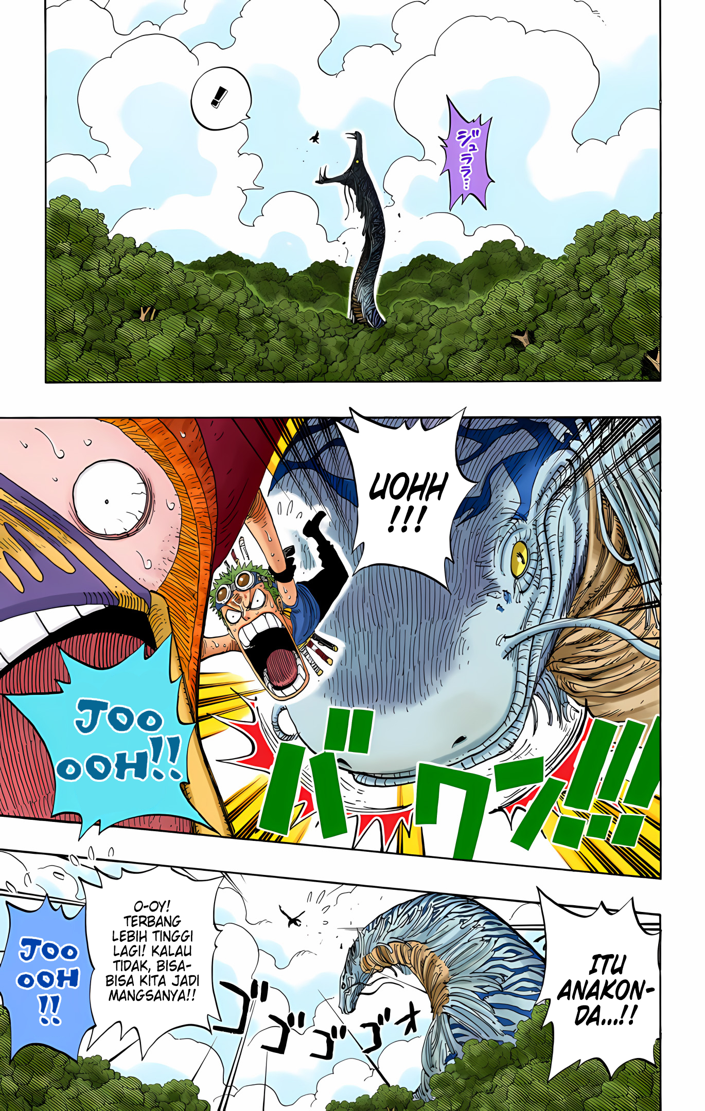 One Piece (Official Colored) Chapter 267 - halaman 9