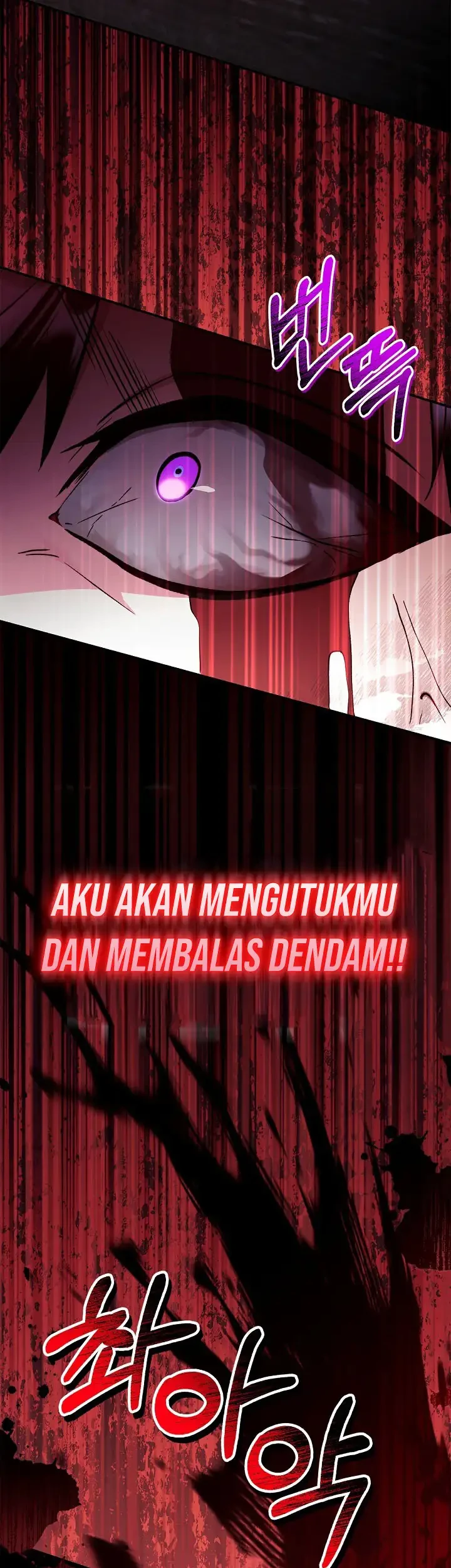 One Piece (Official Colored) Chapter 281 - halaman 13