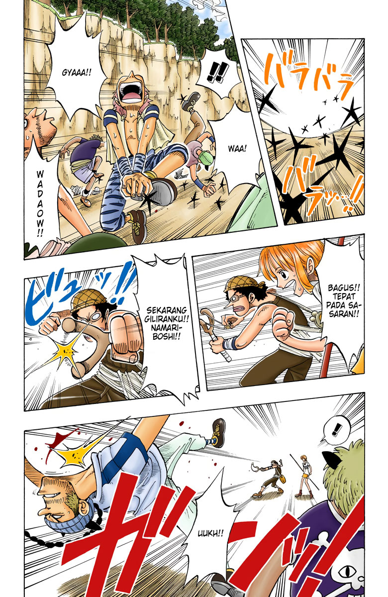 One Piece (Official Colored) Chapter 29 - halaman 12