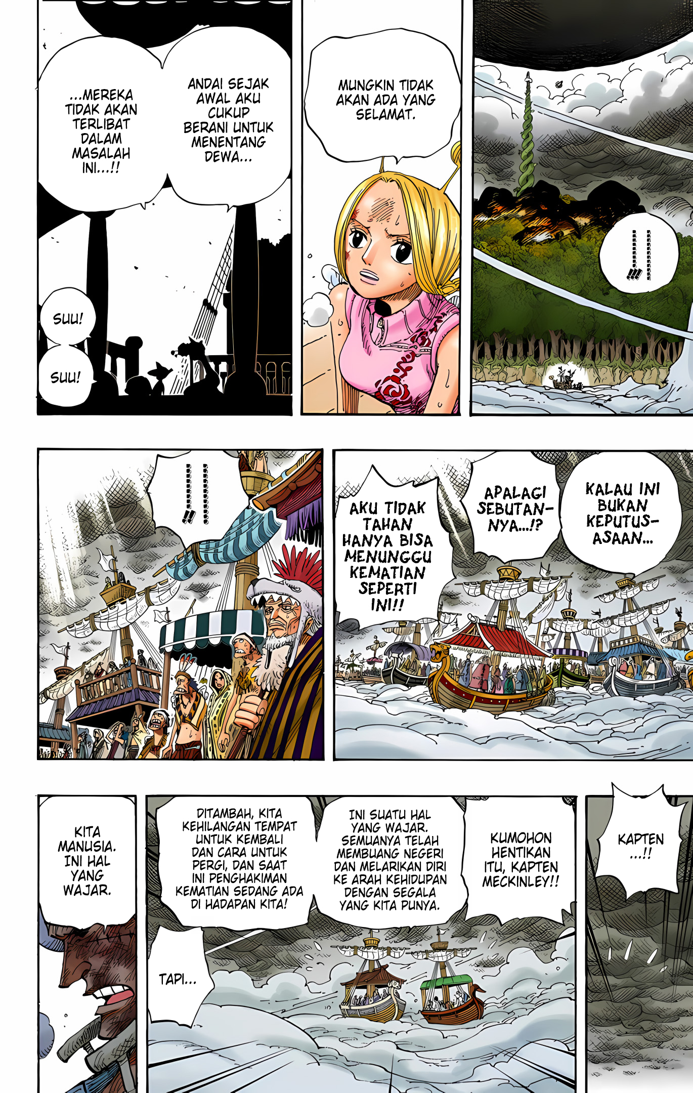One Piece (Official Colored) Chapter 296 - halaman 14