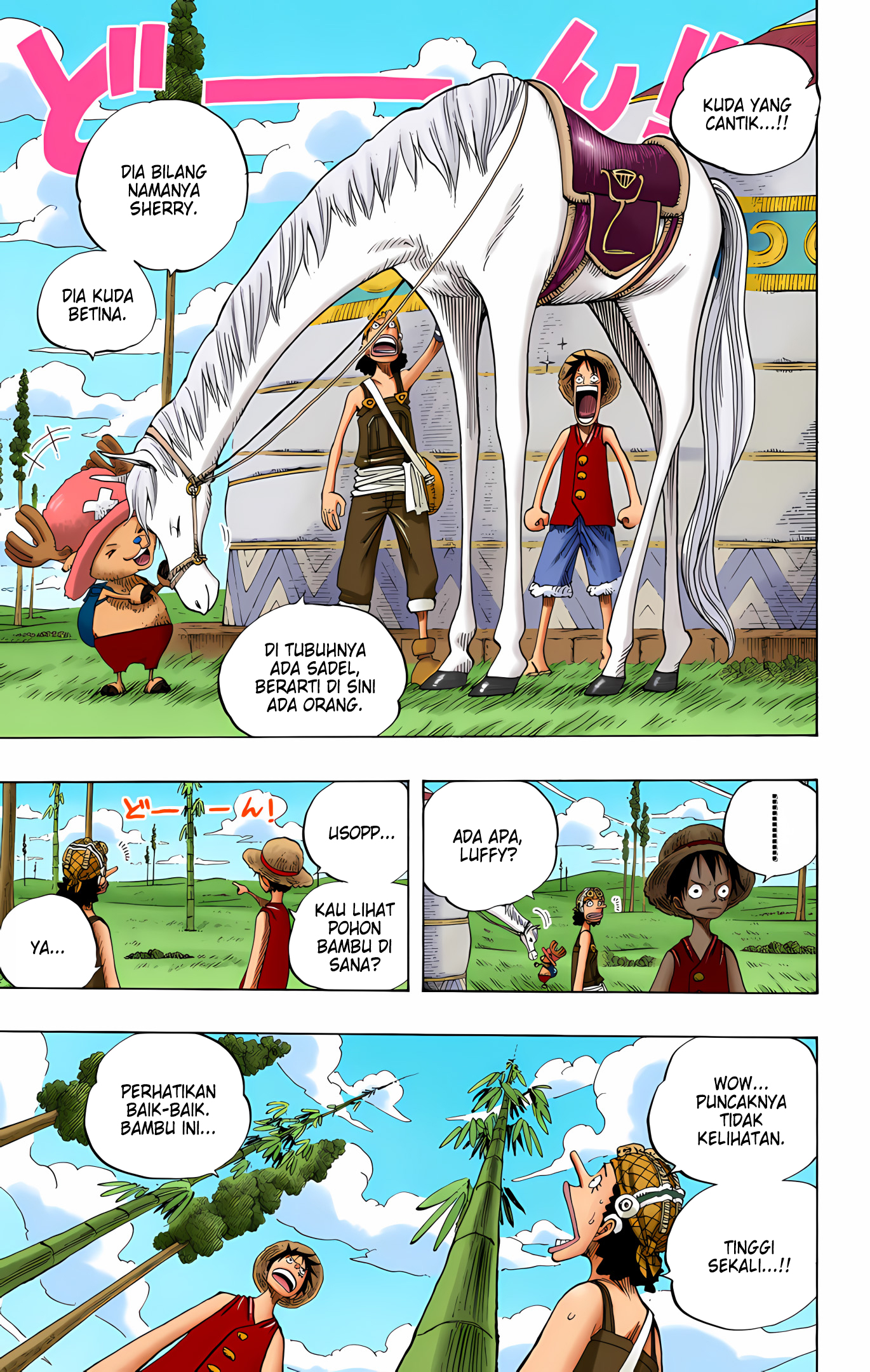 One Piece (Official Colored) Chapter 304 - halaman 15