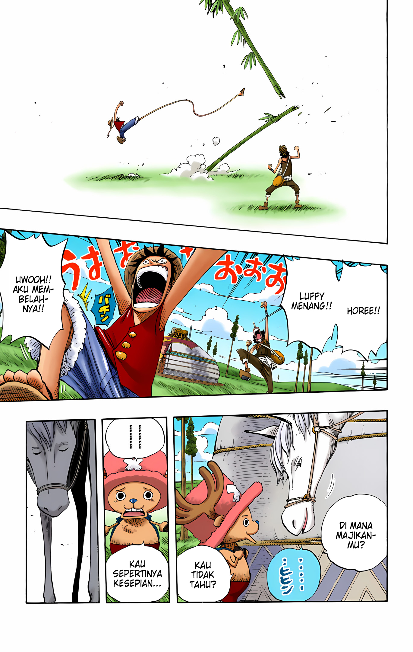 One Piece (Official Colored) Chapter 304 - halaman 17