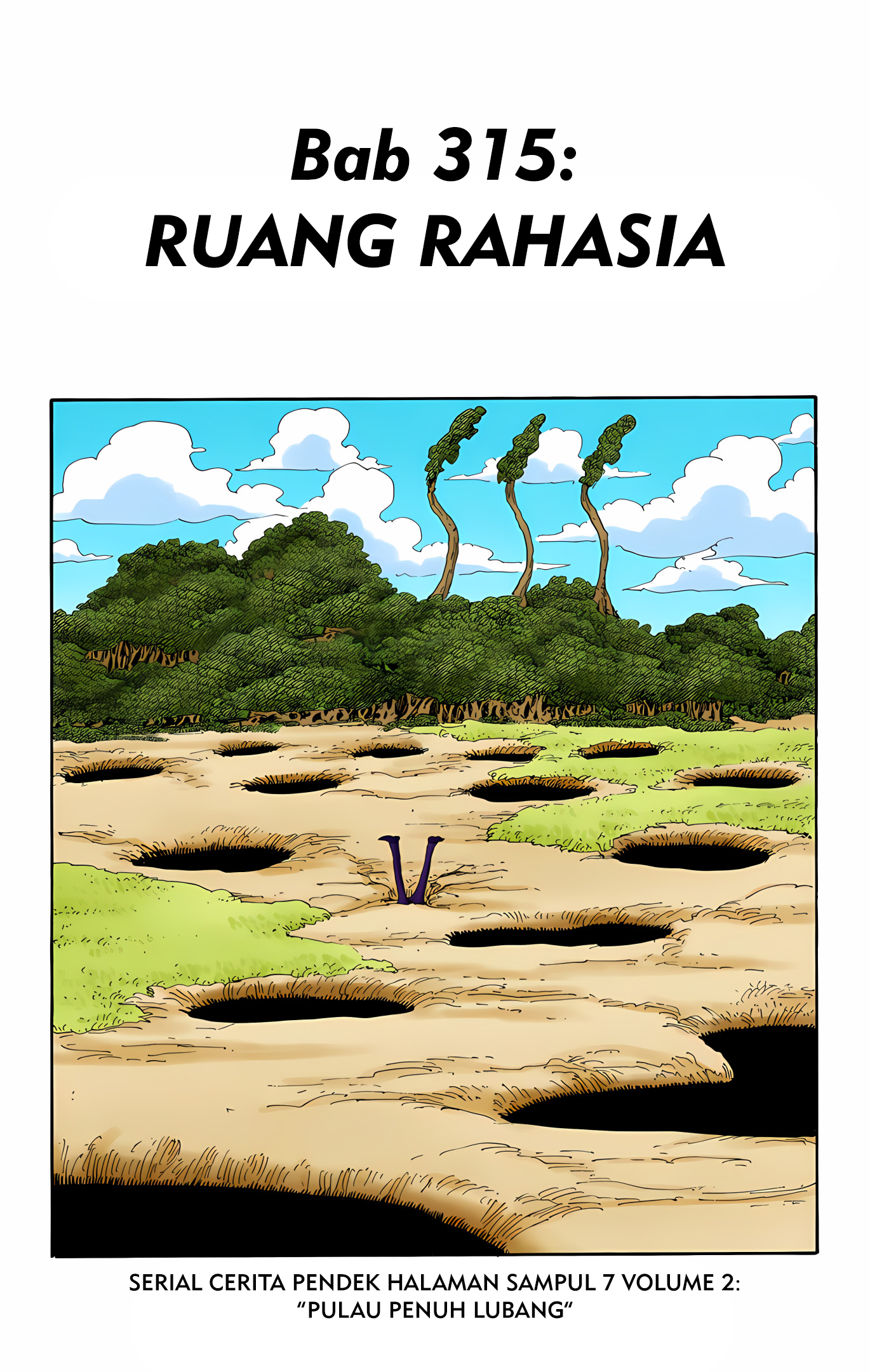 One Piece (Official Colored) Chapter 315 - halaman 1