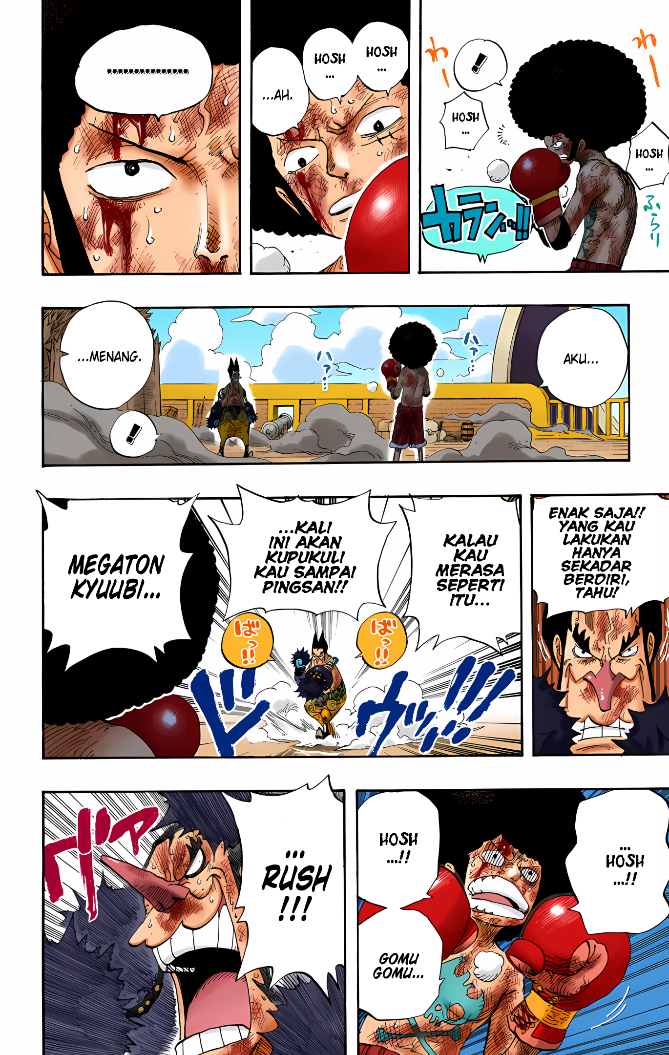 One Piece (Official Colored) Chapter 317 - halaman 17