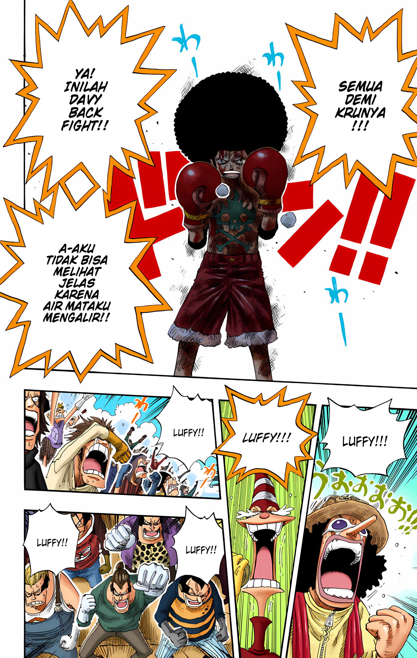One Piece (Official Colored) Chapter 317 - halaman 9