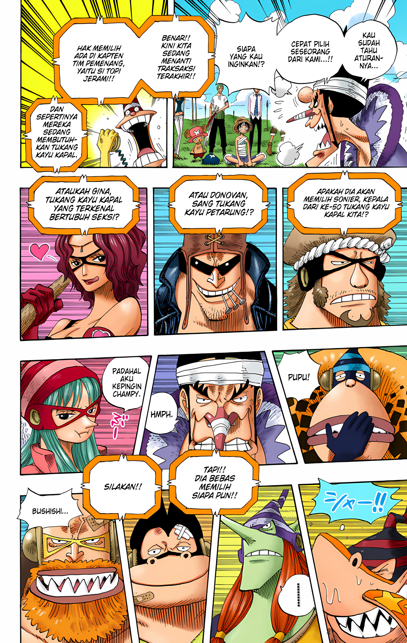 One Piece (Official Colored) Chapter 318 - halaman 10