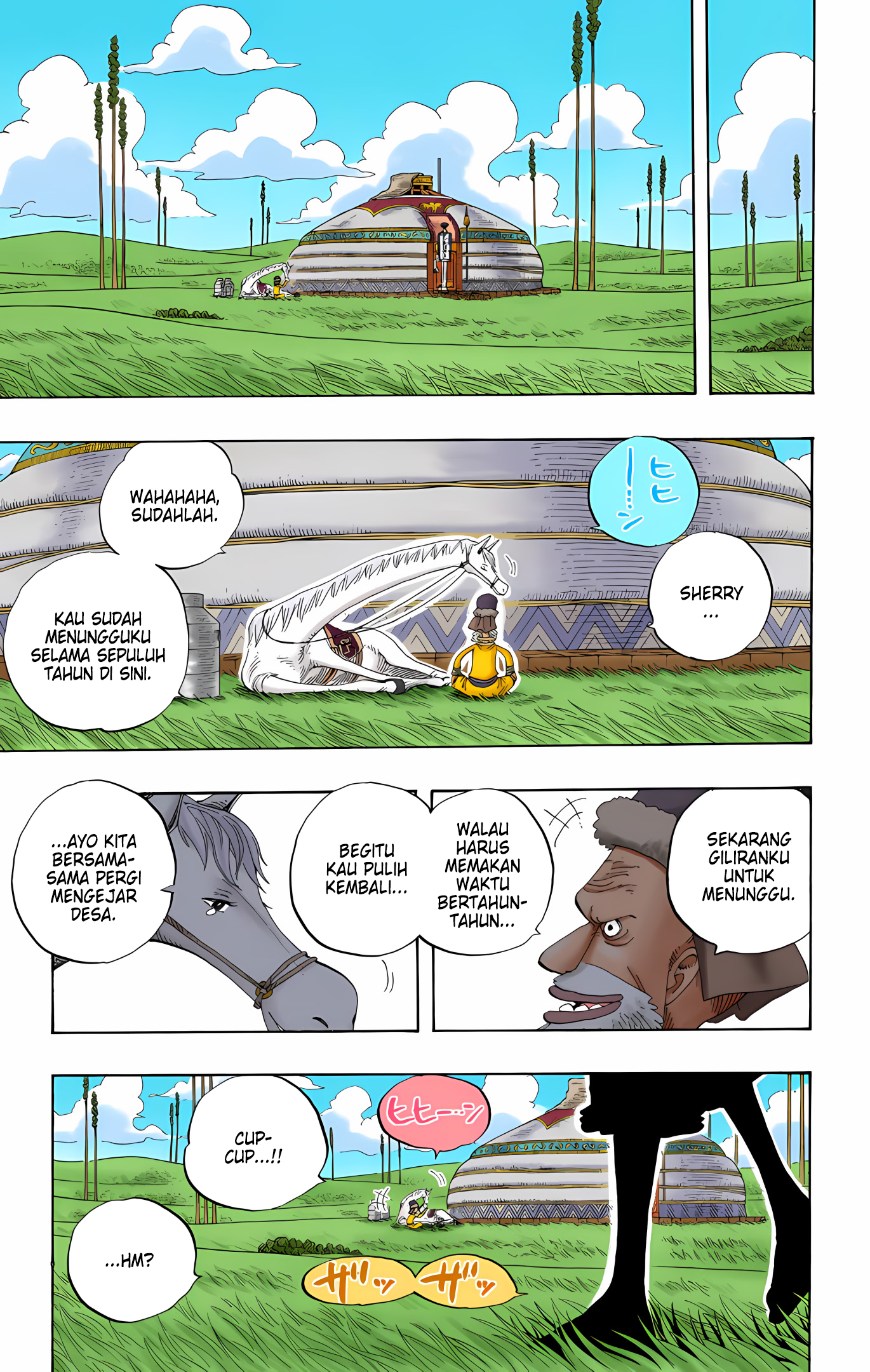 One Piece (Official Colored) Chapter 318 - halaman 15