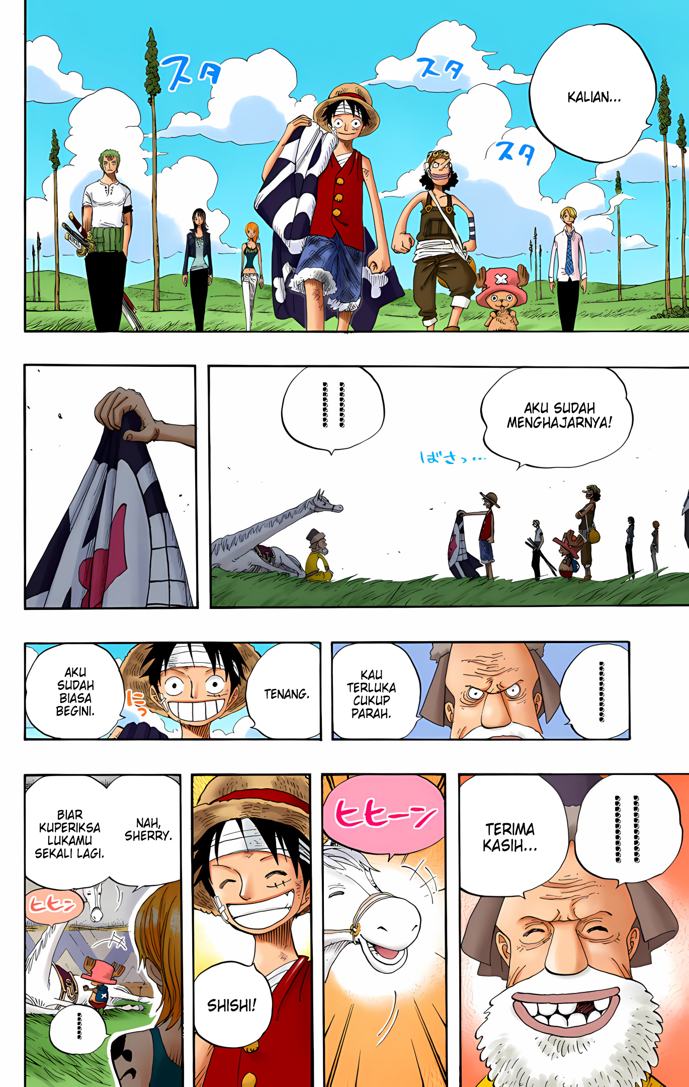 One Piece (Official Colored) Chapter 318 - halaman 16