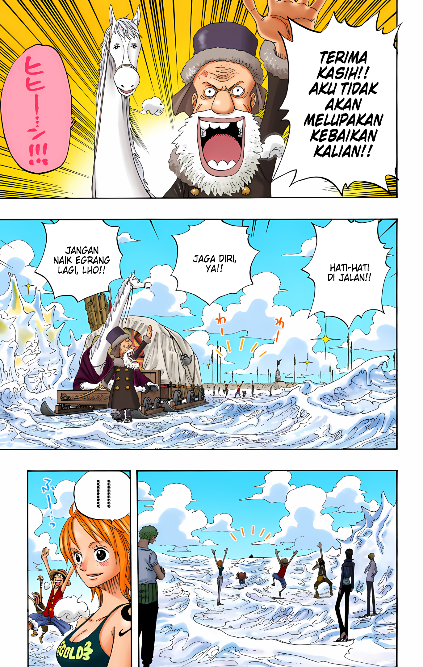 One Piece (Official Colored) Chapter 319 - halaman 16