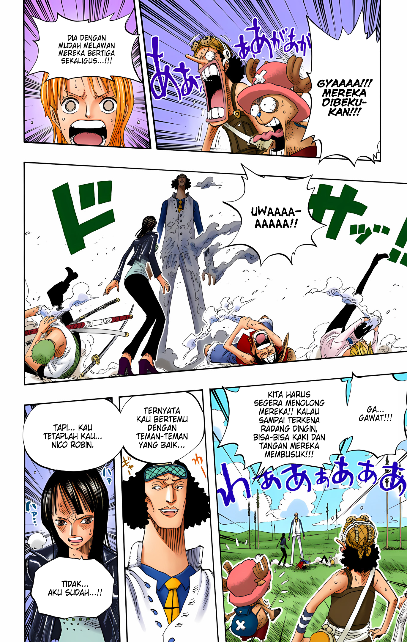 One Piece (Official Colored) Chapter 320 - halaman 12