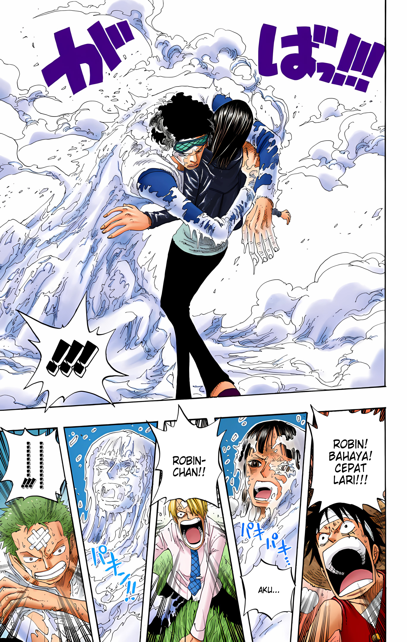 One Piece (Official Colored) Chapter 320 - halaman 13