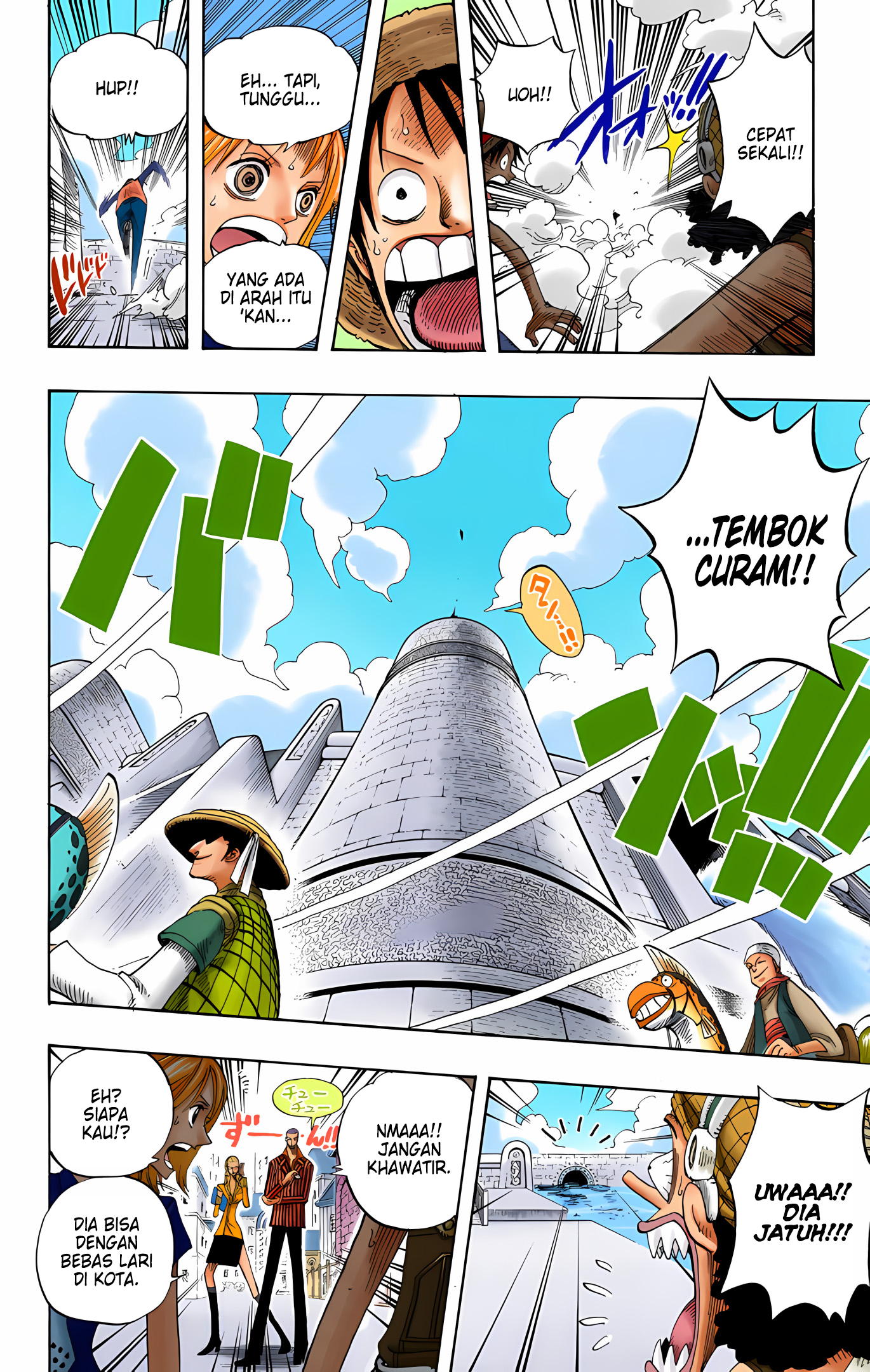 One Piece (Official Colored) Chapter 325 - halaman 18