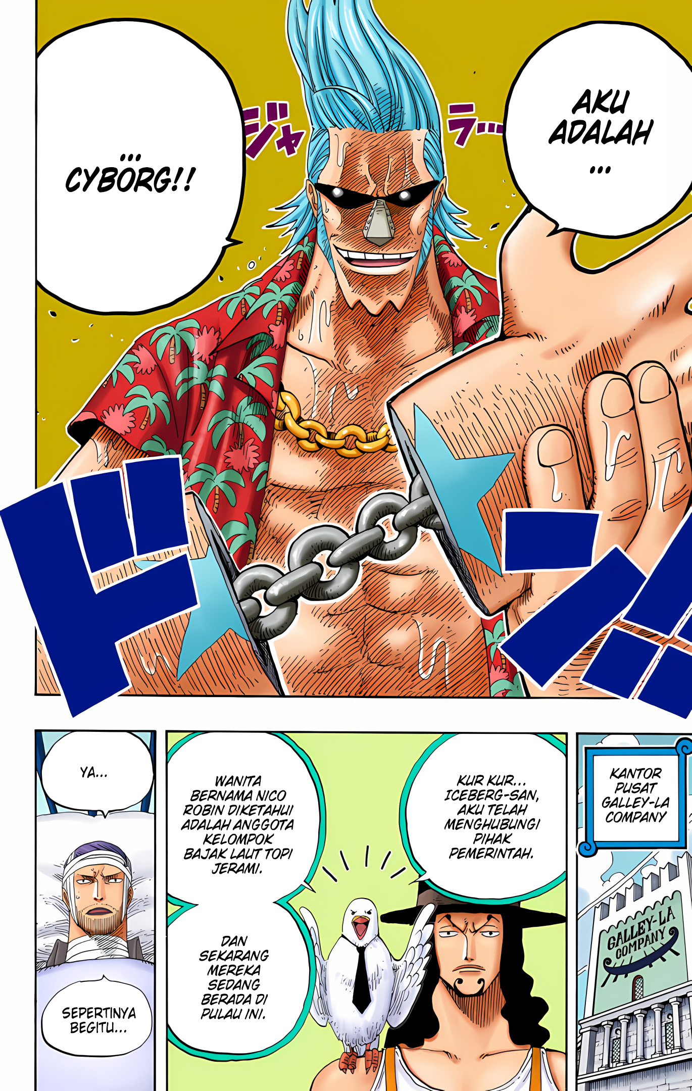 One Piece (Official Colored) Chapter 336 - halaman 10