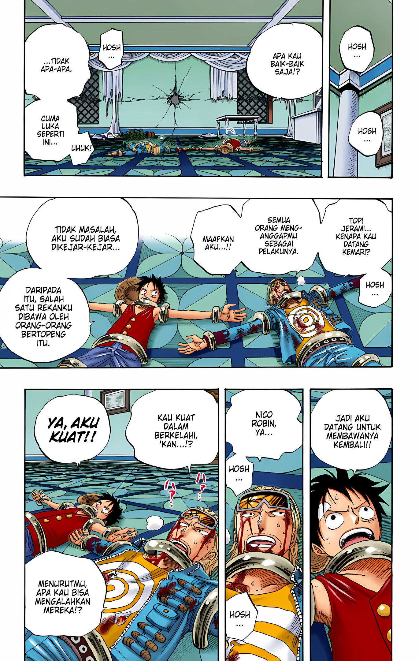 One Piece (Official Colored) Chapter 345 - halaman 11