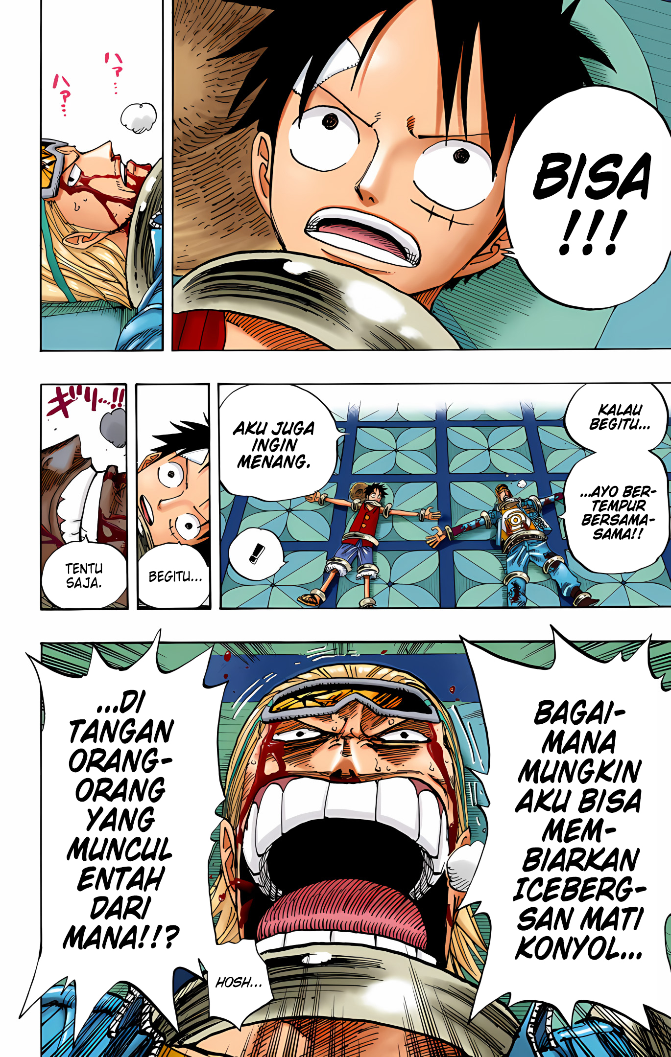 One Piece (Official Colored) Chapter 345 - halaman 12