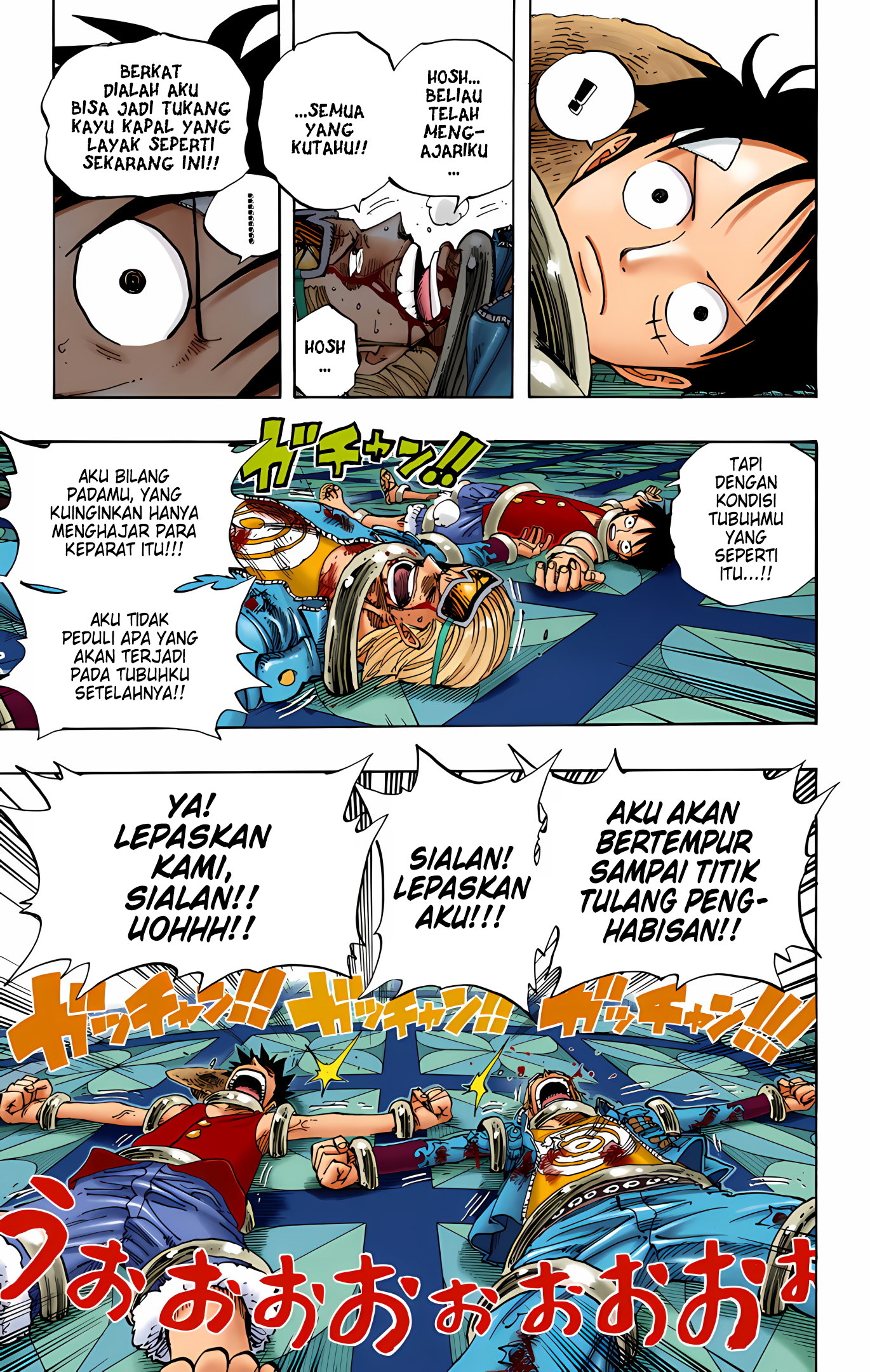 One Piece (Official Colored) Chapter 345 - halaman 13