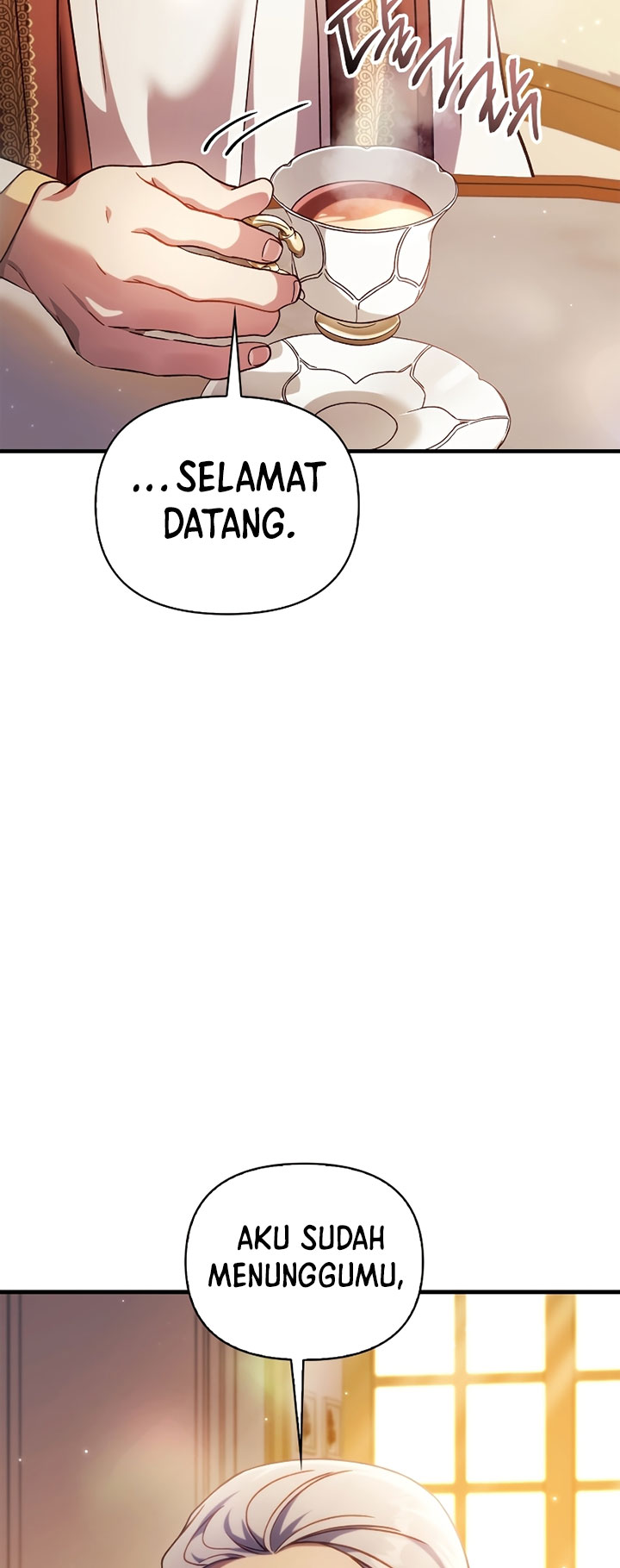 One Piece (Official Colored) Chapter 380 - halaman 9