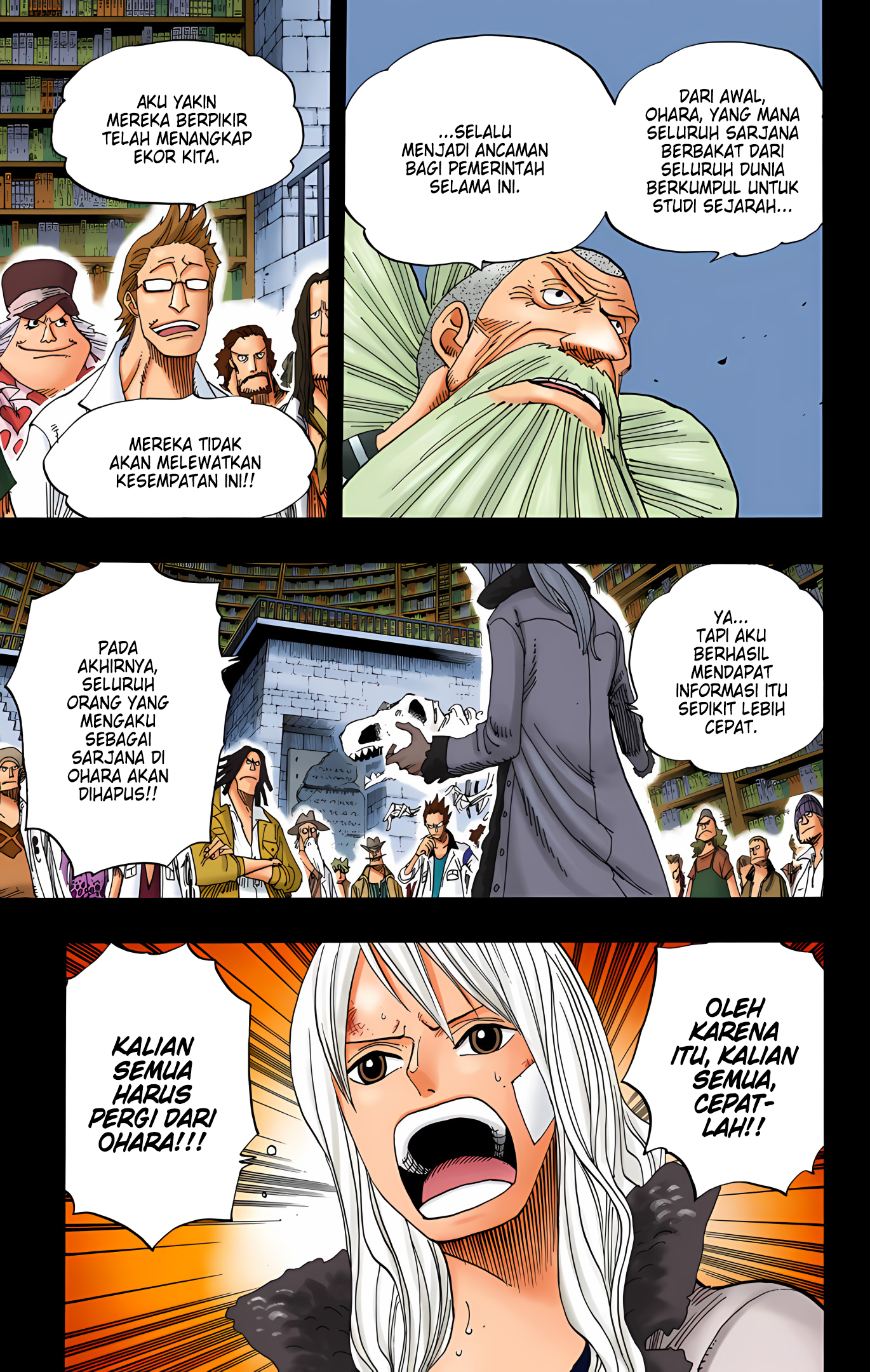 One Piece (Official Colored) Chapter 393 - halaman 11