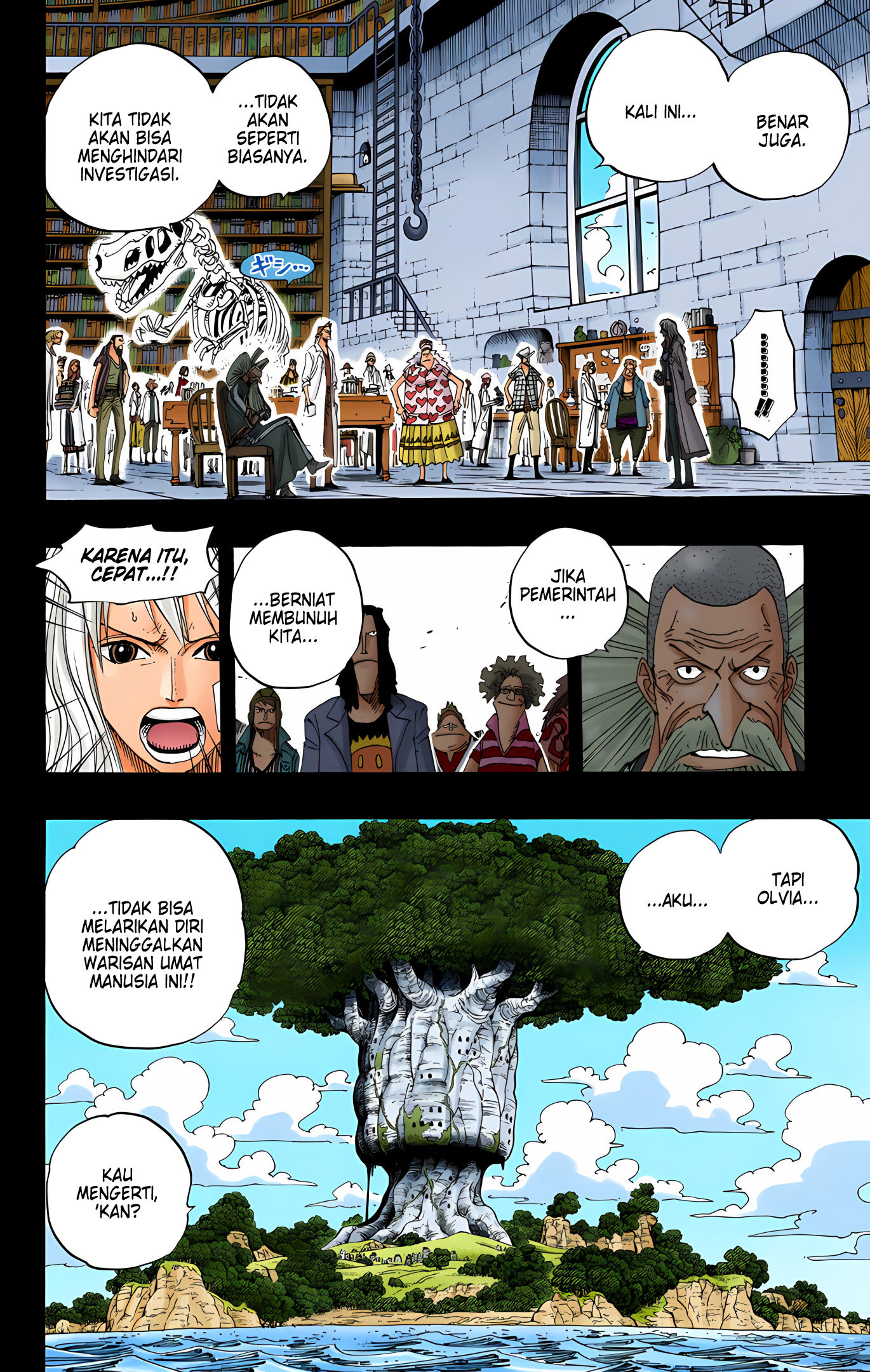 One Piece (Official Colored) Chapter 393 - halaman 12