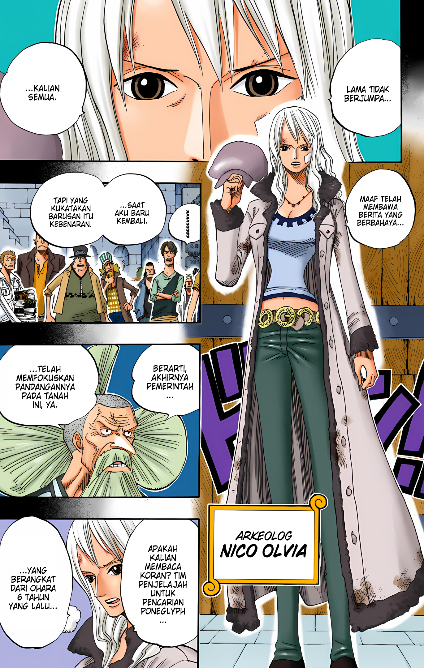 One Piece (Official Colored) Chapter 393 - halaman 9