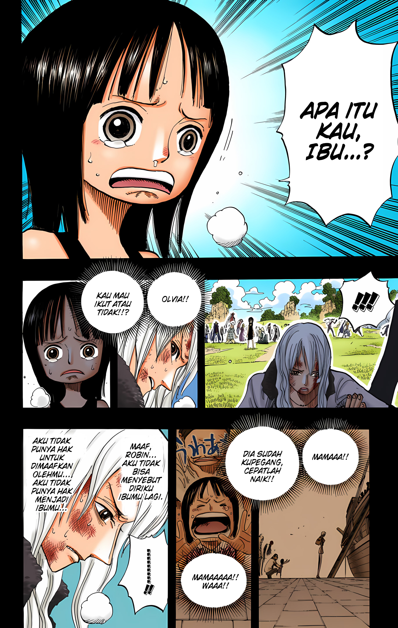 One Piece (Official Colored) Chapter 395 - halaman 14