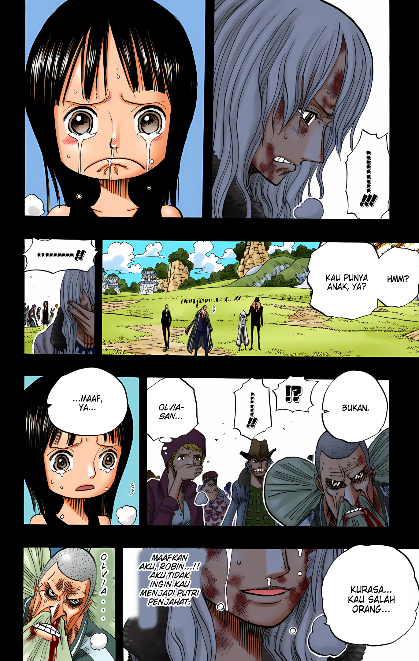 One Piece (Official Colored) Chapter 395 - halaman 16