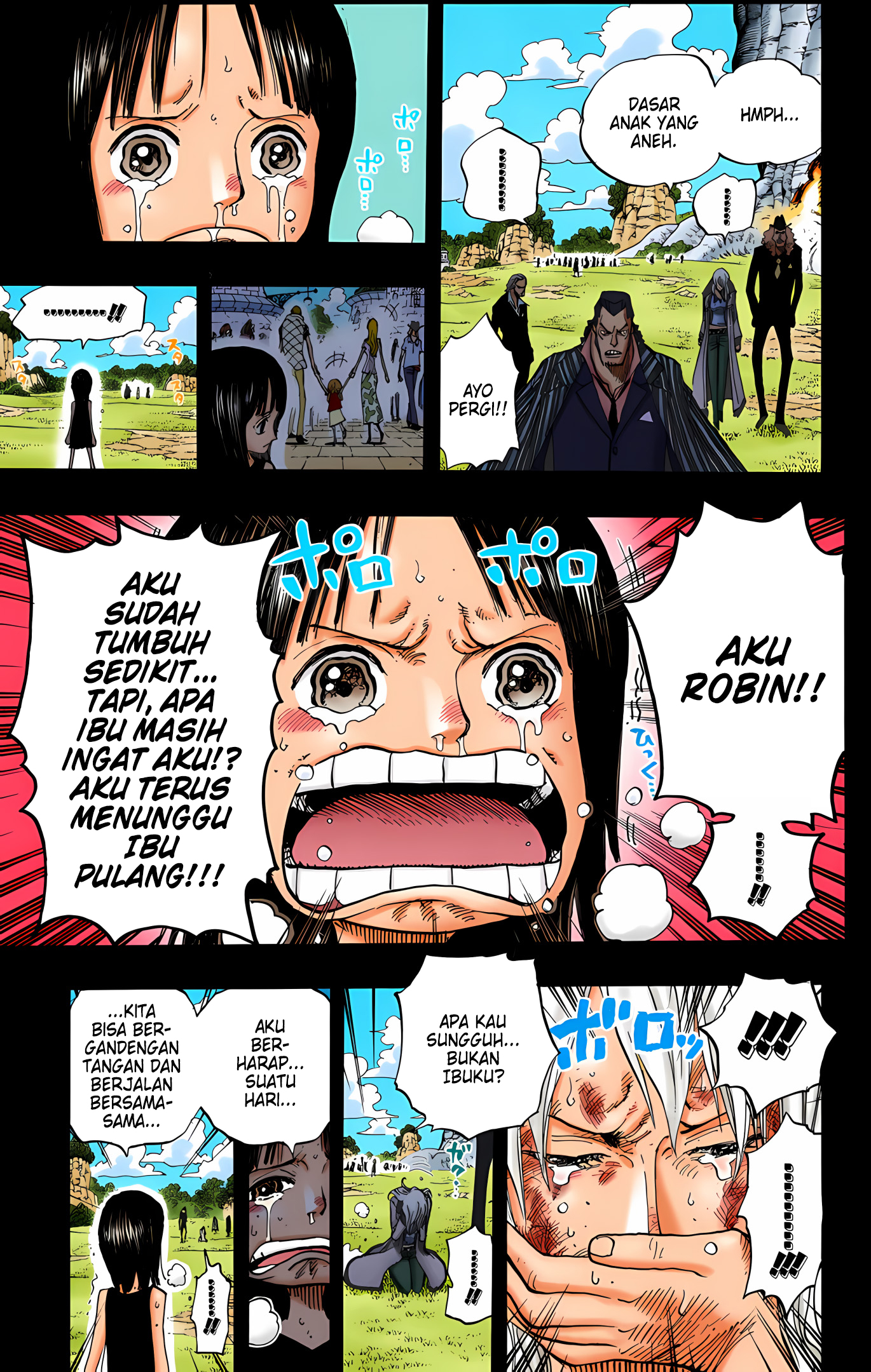 One Piece (Official Colored) Chapter 395 - halaman 17