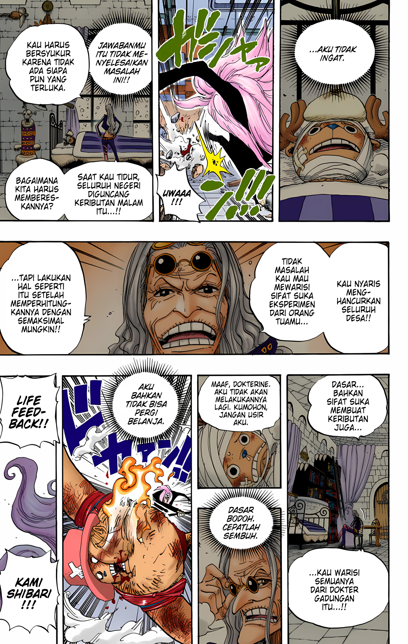 One Piece (Official Colored) Chapter 407 - halaman 9