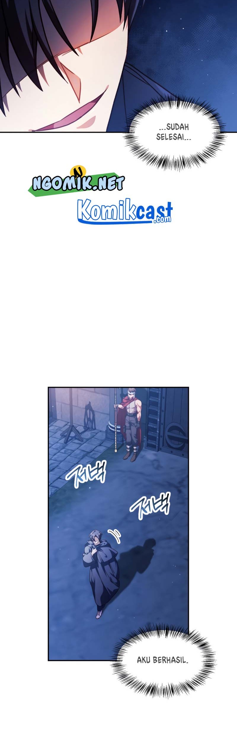 One Piece (Official Colored) Chapter 411 - halaman 17
