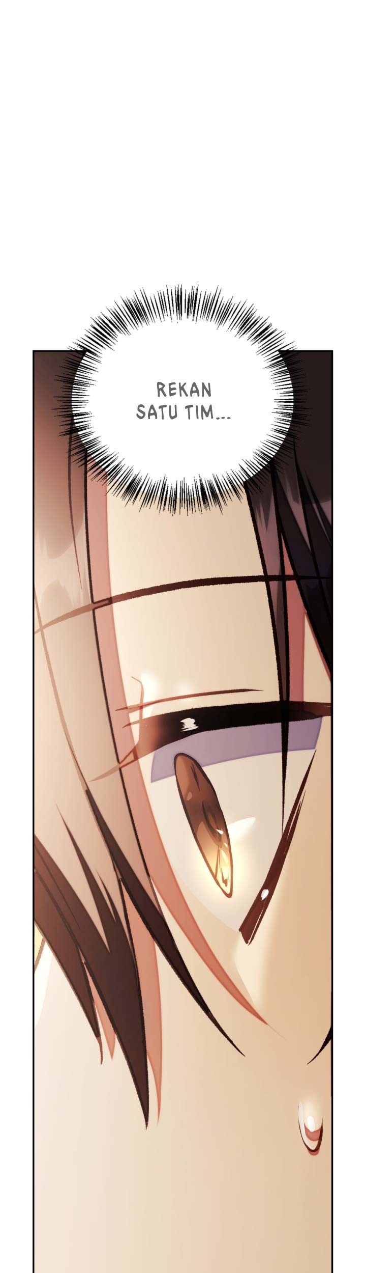 One Piece (Official Colored) Chapter 431 - halaman 19